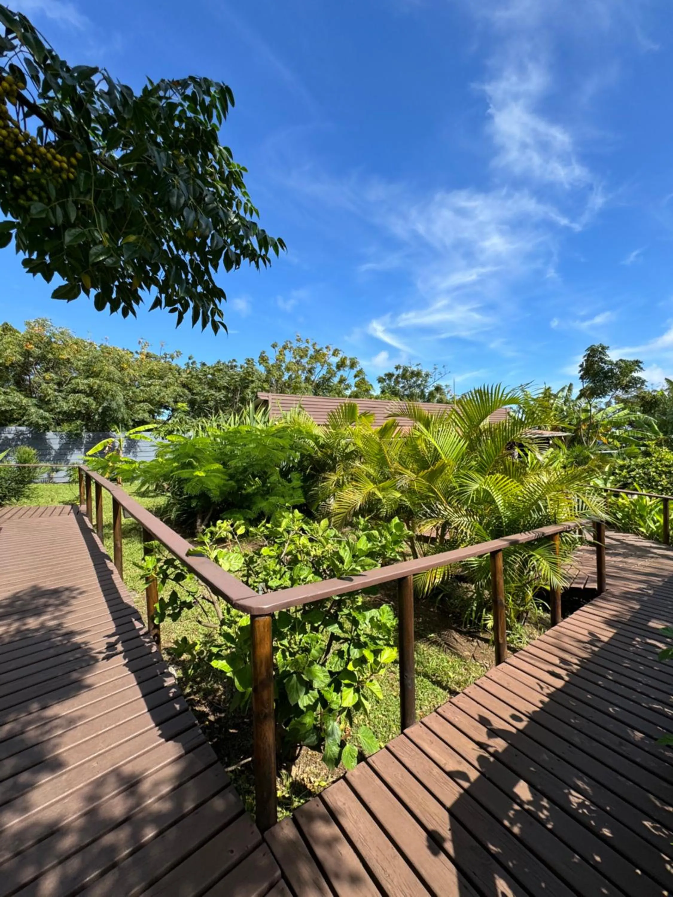 Garden in Cabañas Raupa