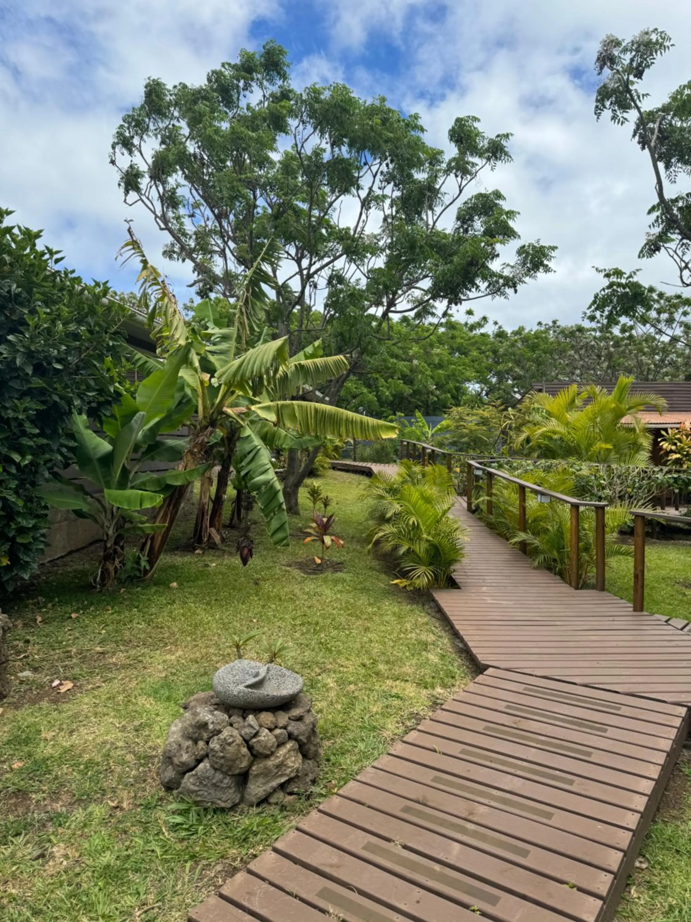 Garden in Cabañas Raupa