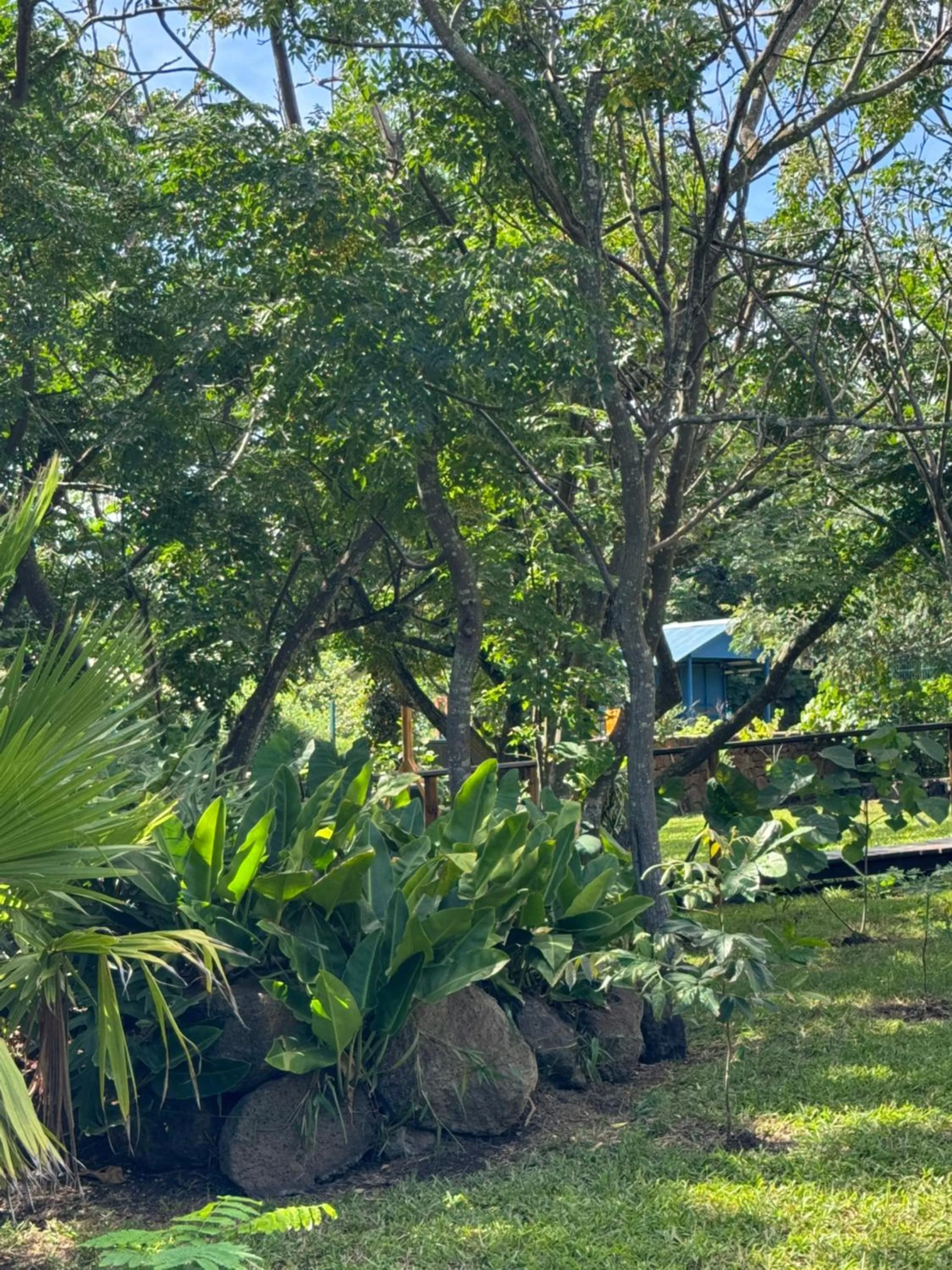 Garden in Cabañas Raupa
