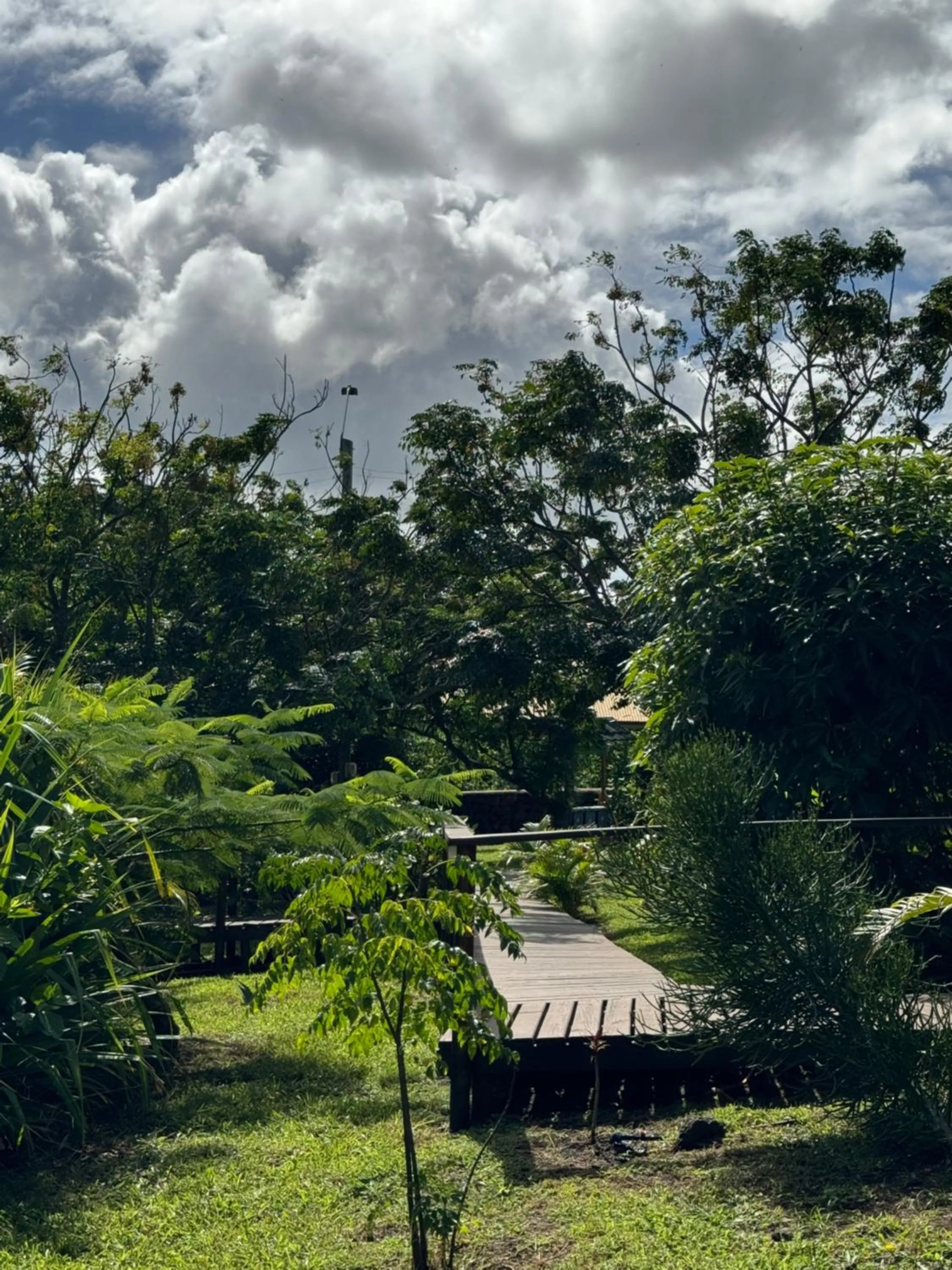 Garden view in Cabañas Raupa