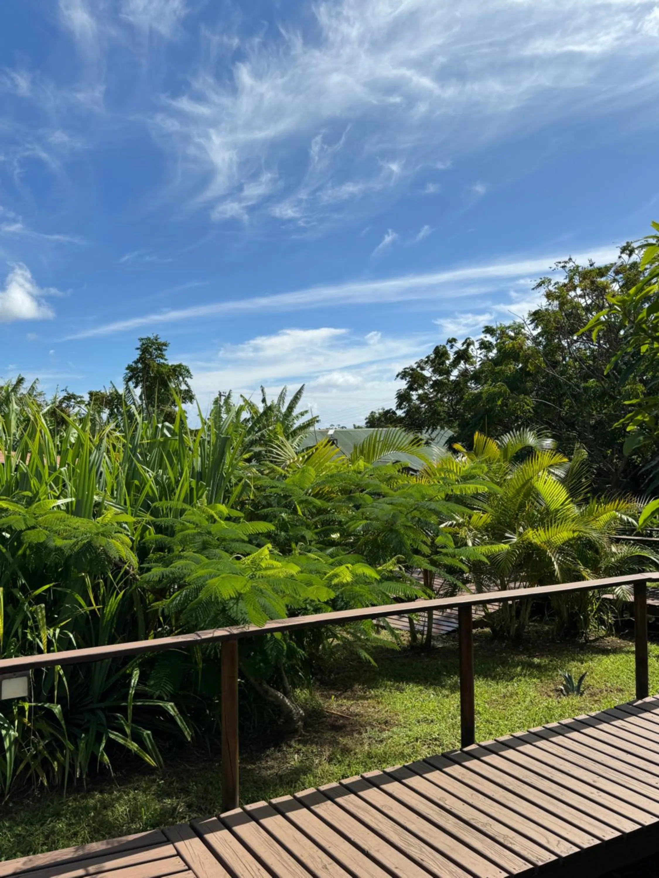 Garden view in Cabañas Raupa