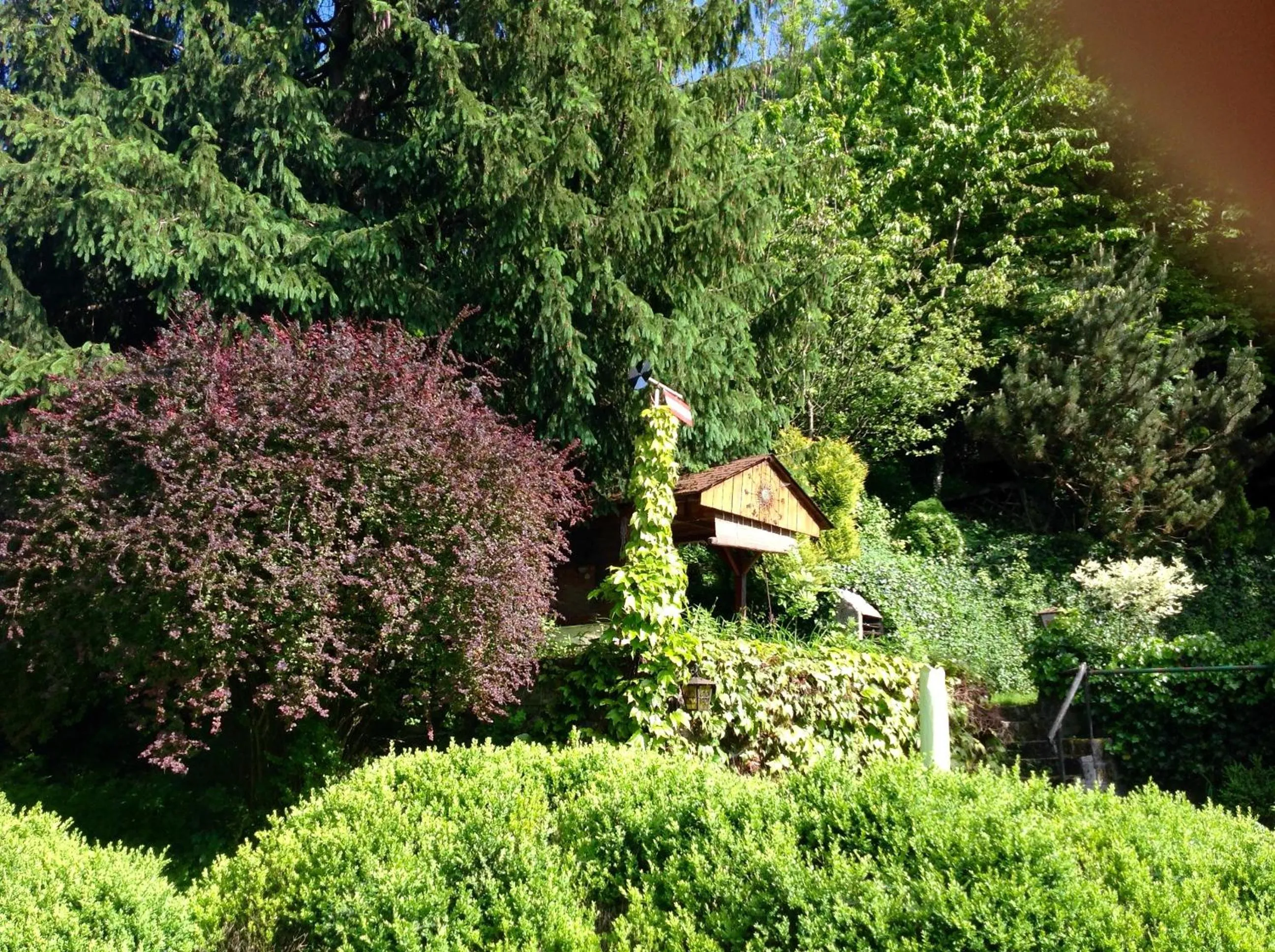 Bird's eye view in Haus Gnigl