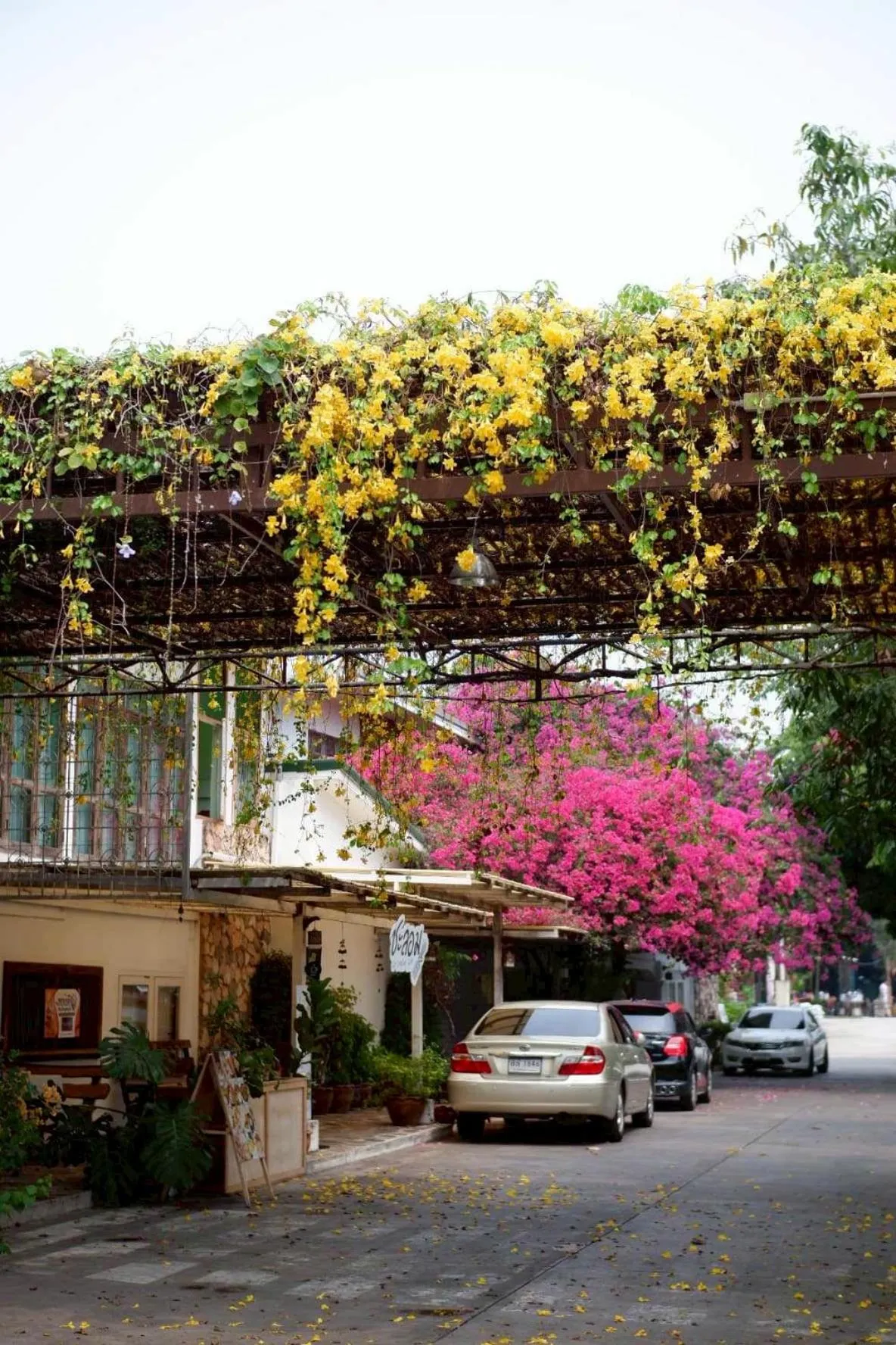 Delio Boutique Hotel