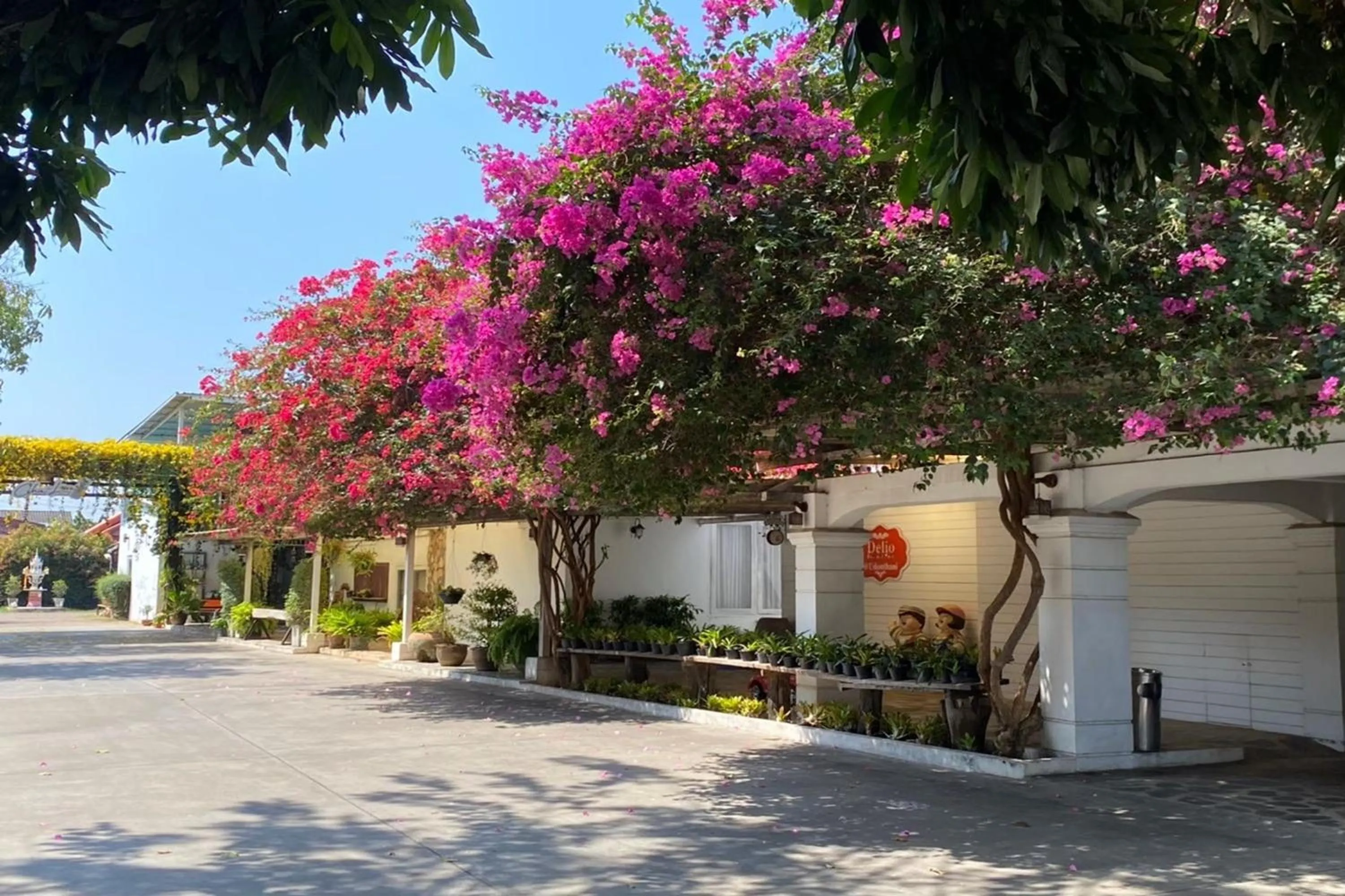 Property building in Delio Boutique Hotel