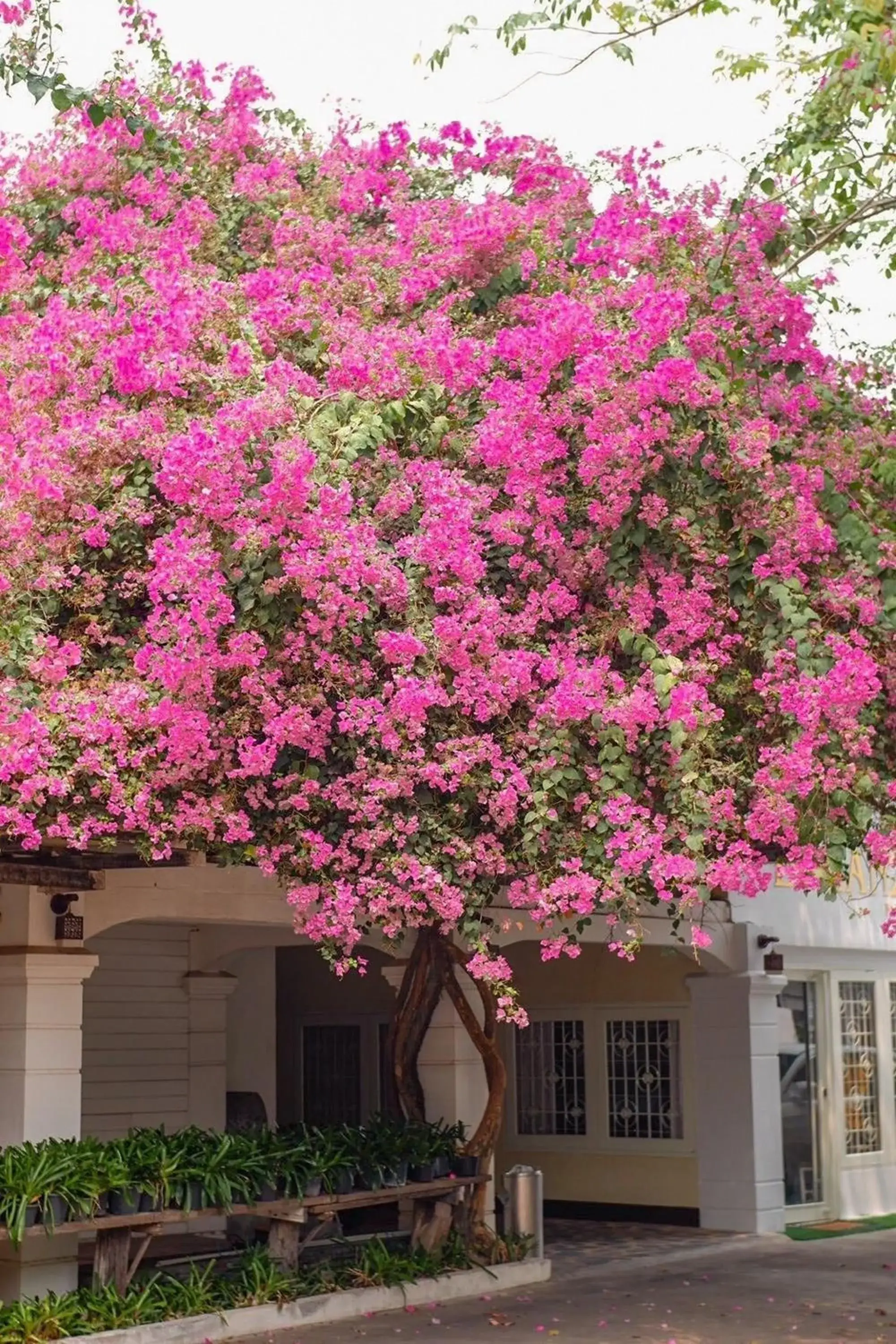 Property building in Delio Boutique Hotel Property building in Delio Boutique Hotel