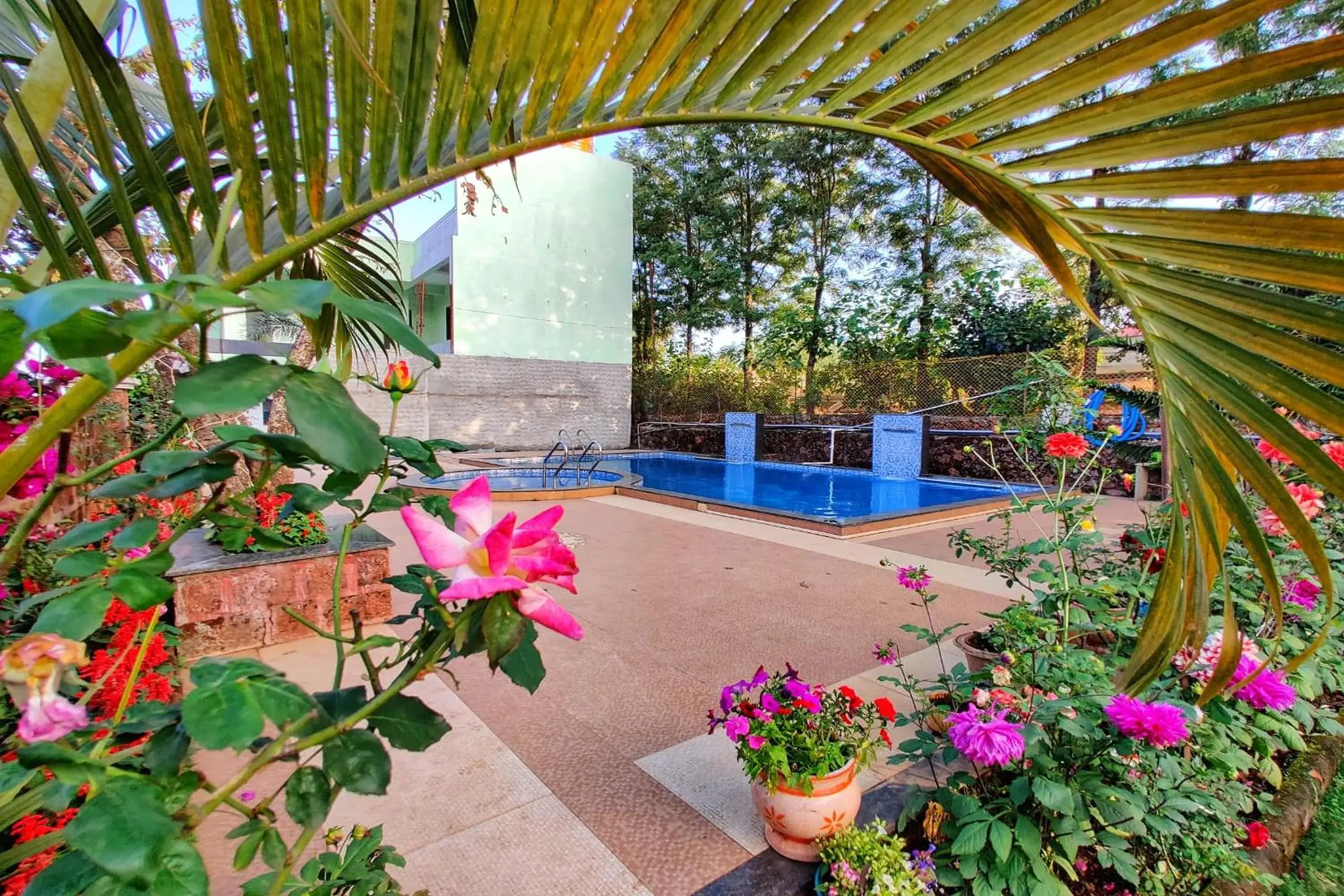 Swimming pool in Strawberry Land Resort Swimming pool in Strawberry Land Resort