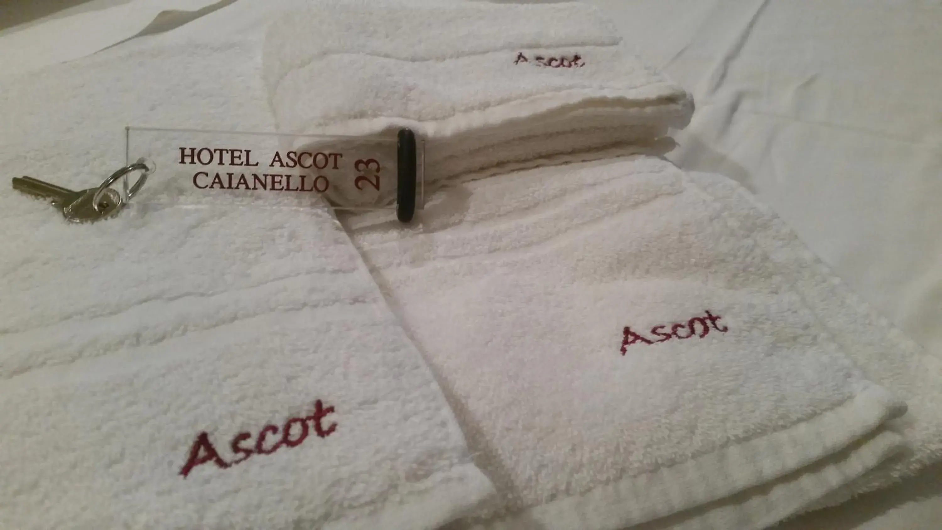 Hotel Ascot Hotel Ascot