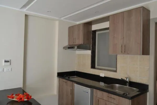 Kitchen or kitchenette in Rivoli Suites and Spa