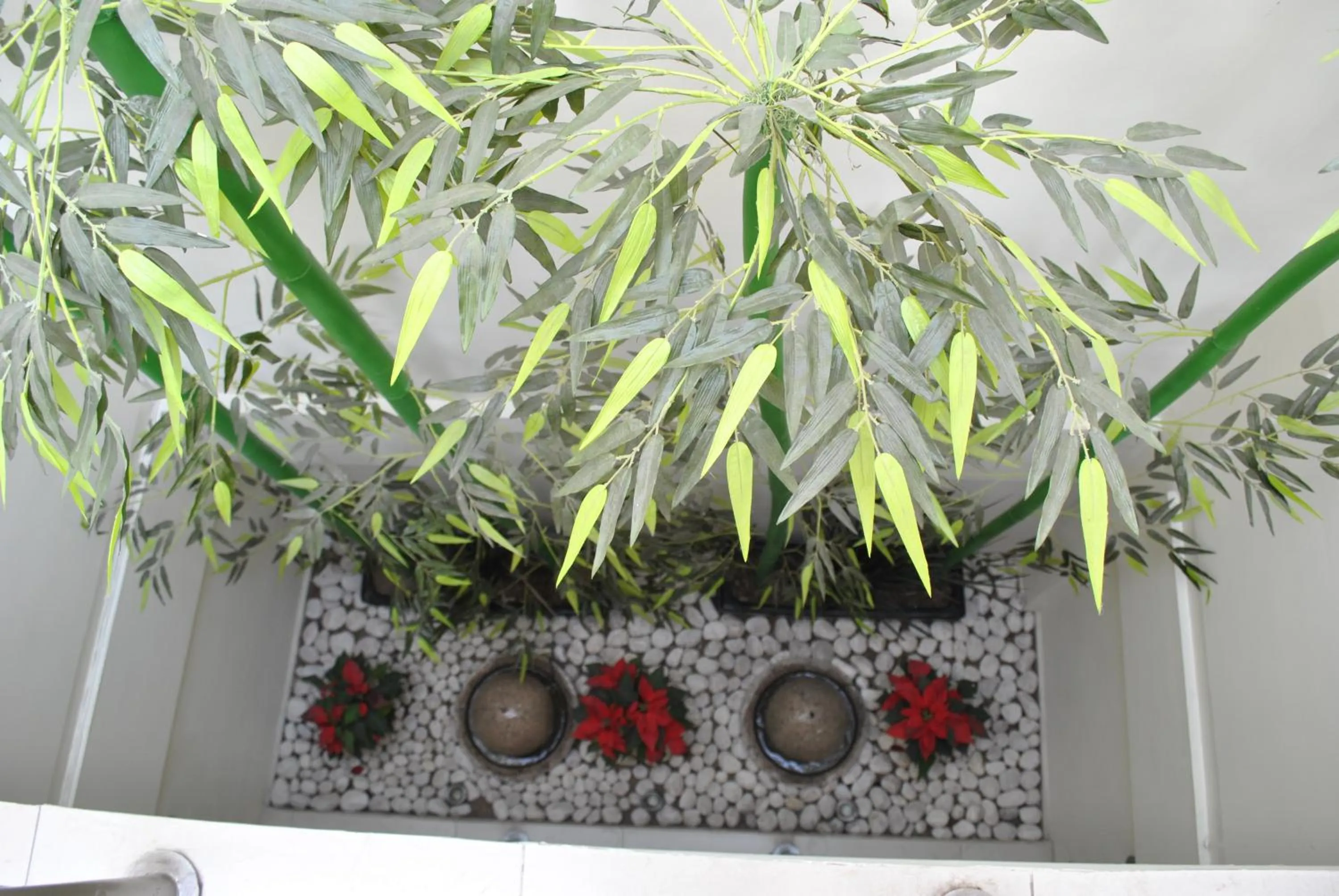 Area and facilities in Hotel La Torre San Francisco