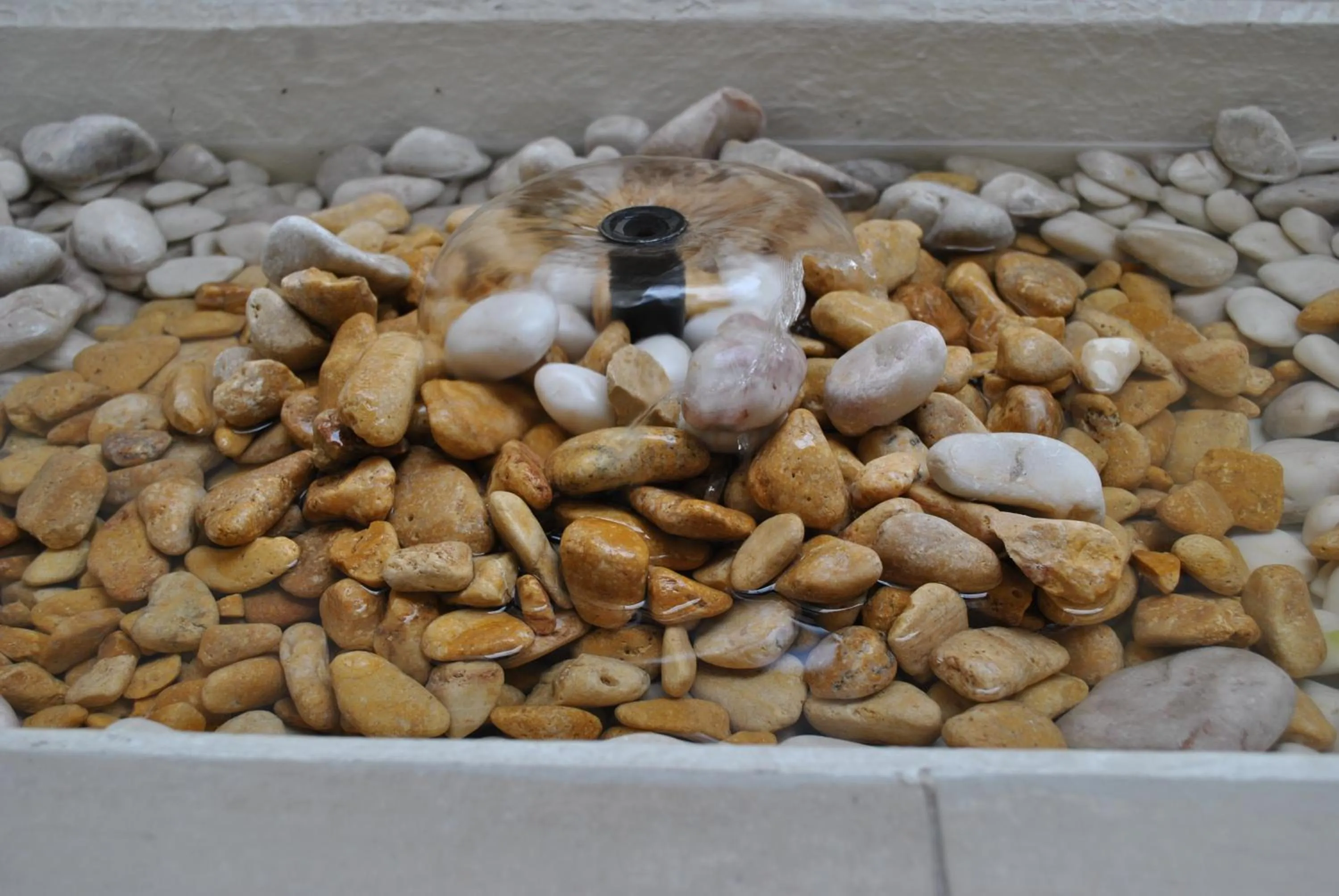 Other in Hotel La Torre San Francisco