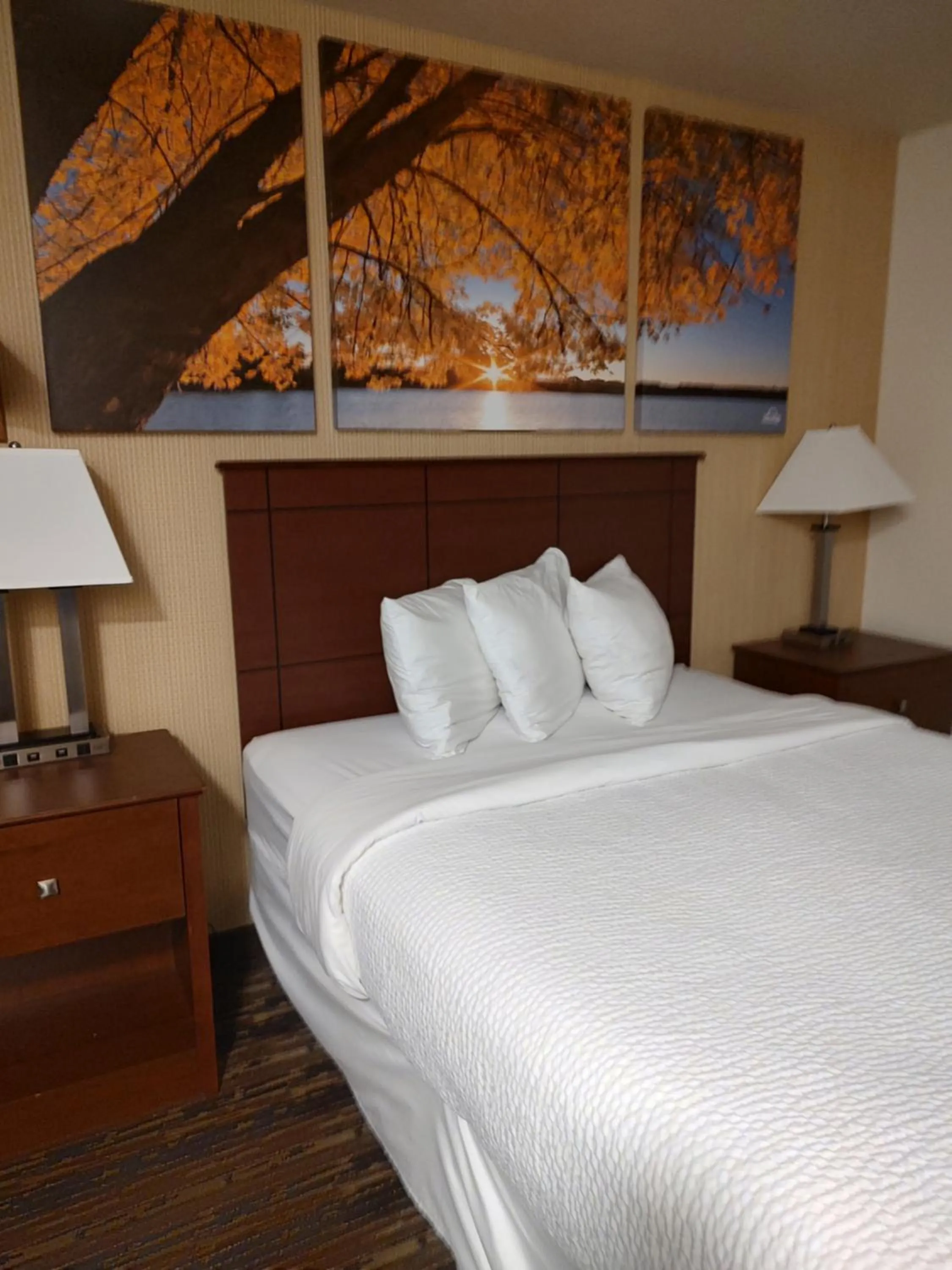 Bed in Days Inn & Suites by Wyndham Fargo 19th Ave/Airport Dome