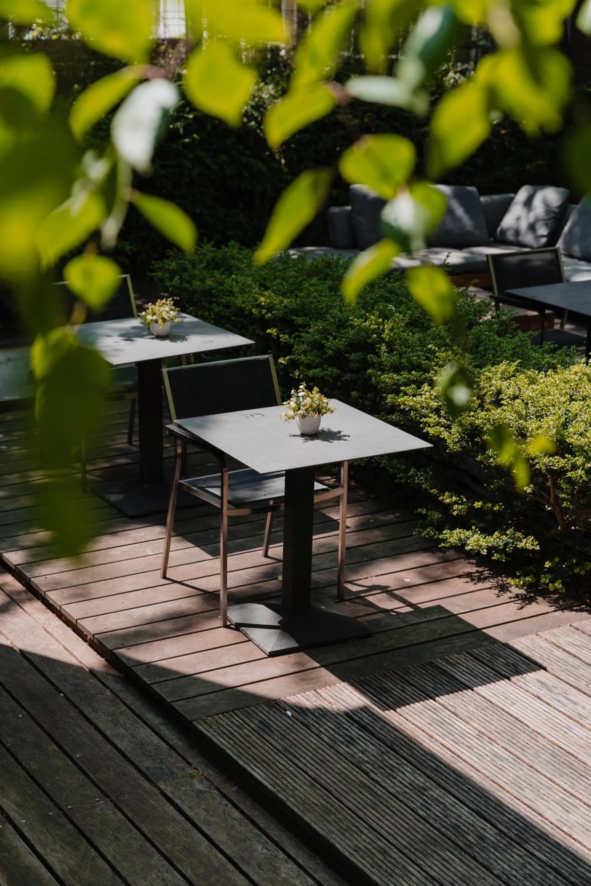 Garden in Hotel Roemer Amsterdam