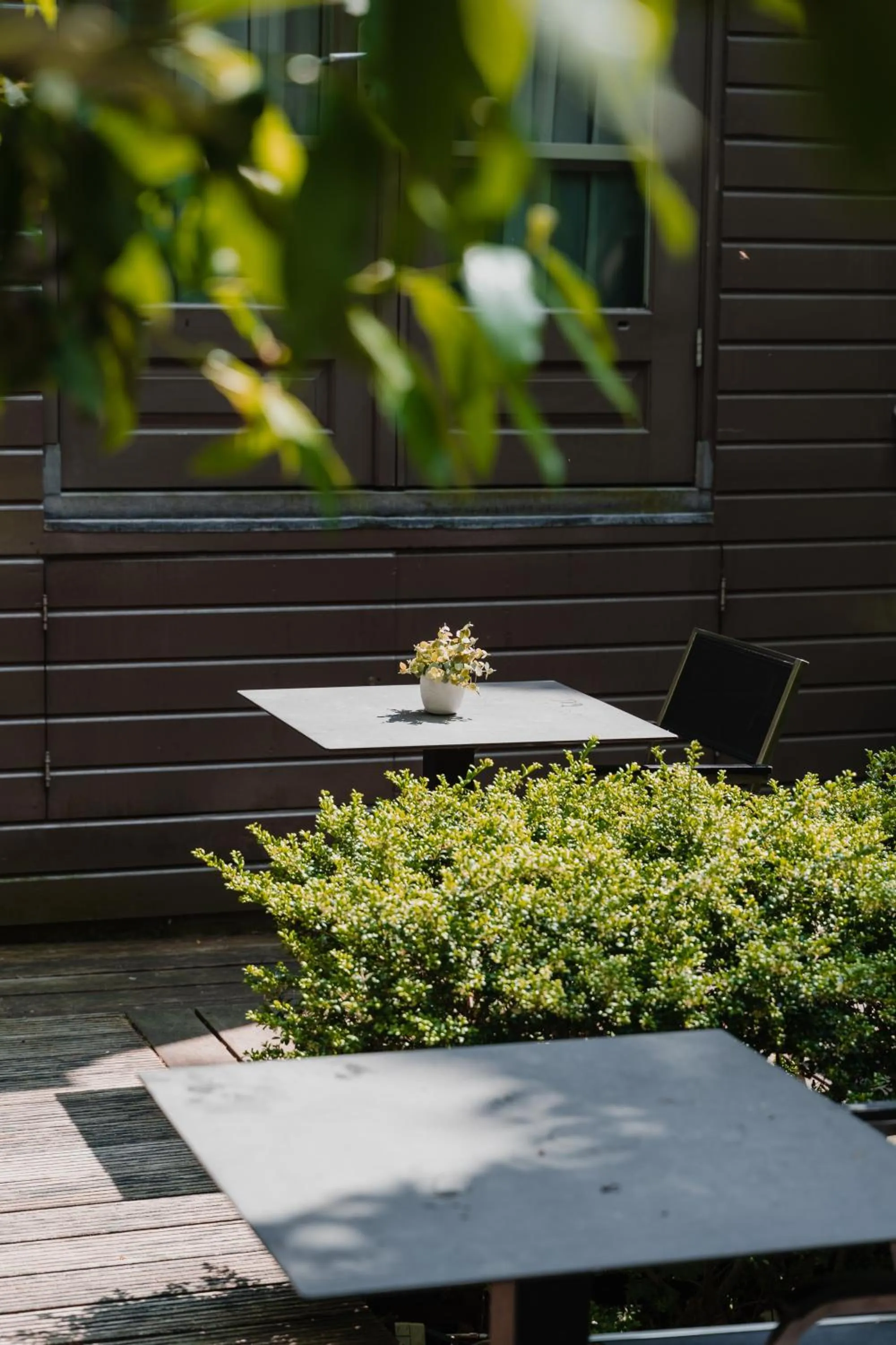 Garden in Hotel Roemer Amsterdam