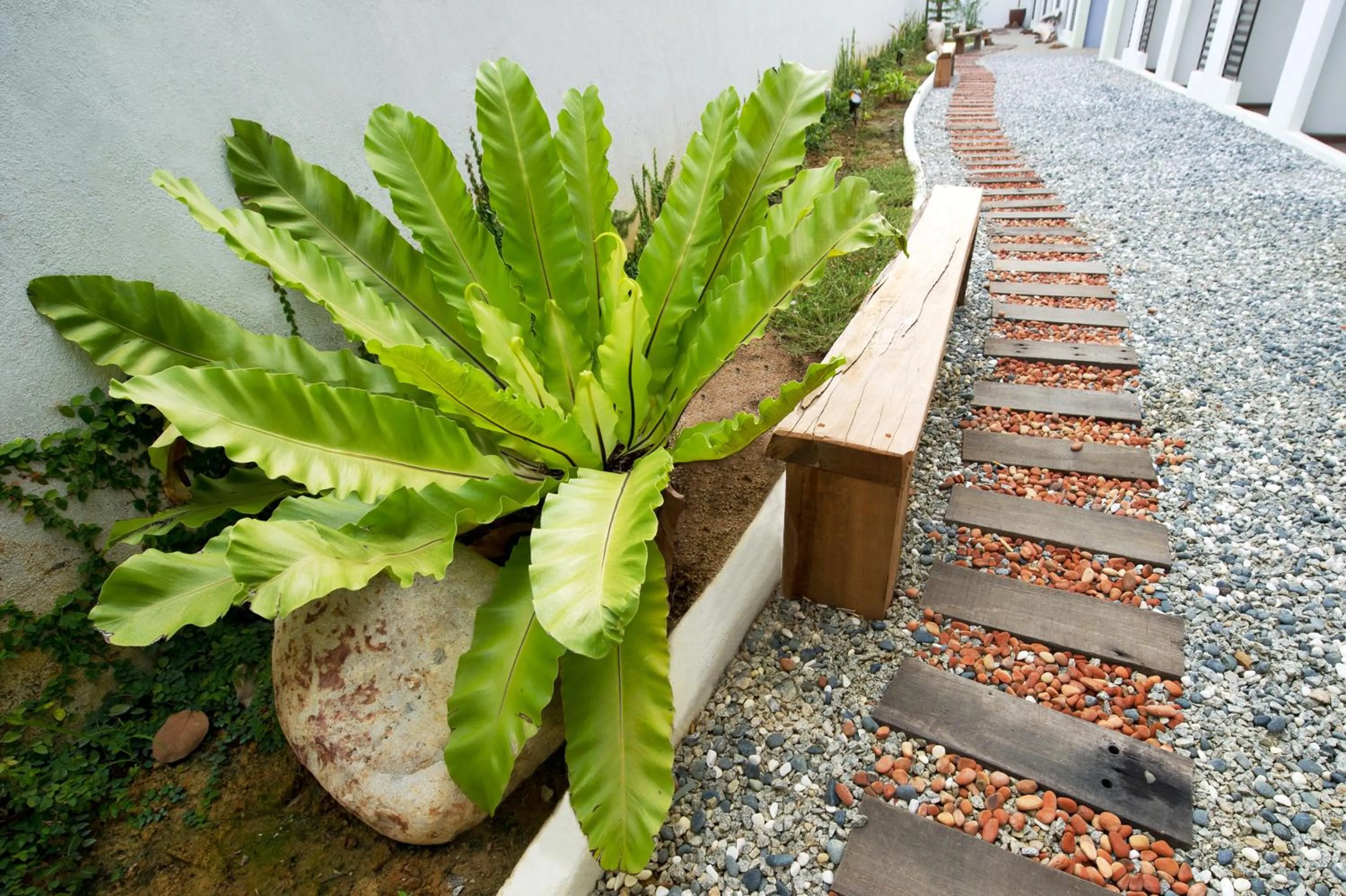 Garden in The Explorer Hotel