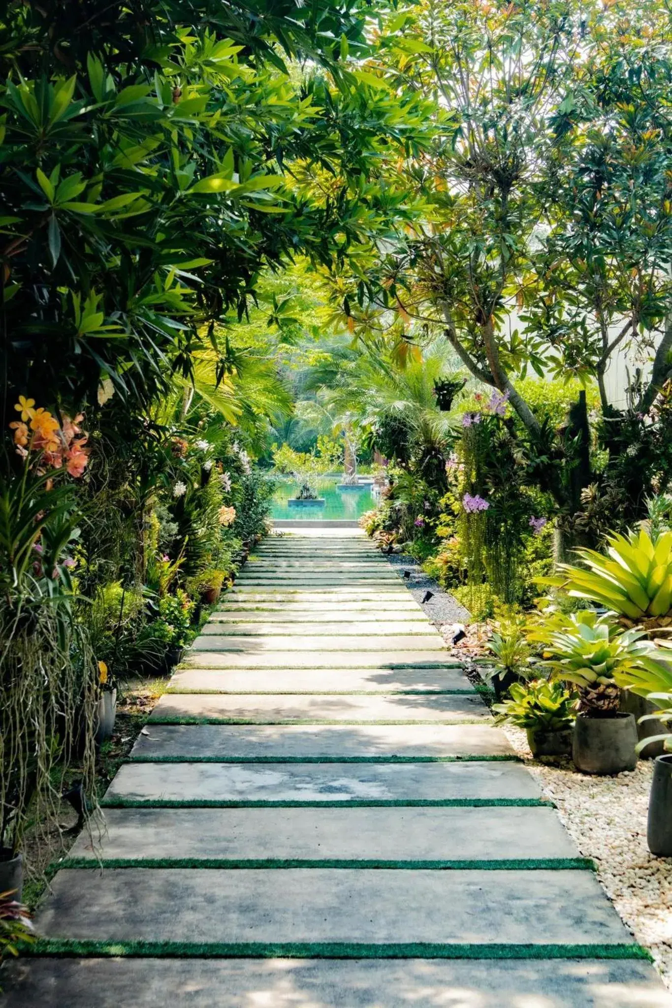 Garden view in Khaolak Forest Resort Garden view in Khaolak Forest Resort
