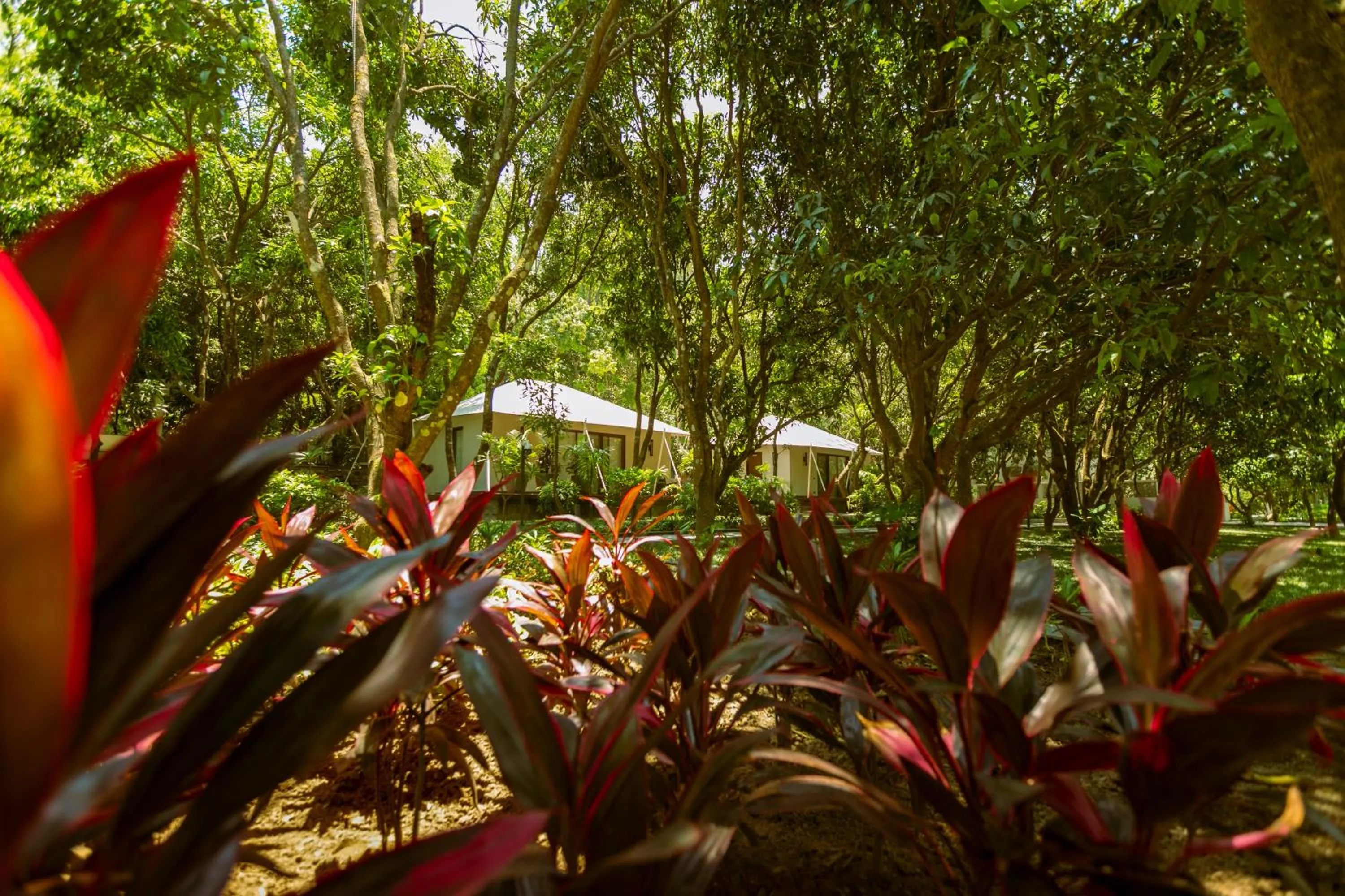 Property building in Anand Kashi by the Ganges Rishikesh - IHCL Seleqtions