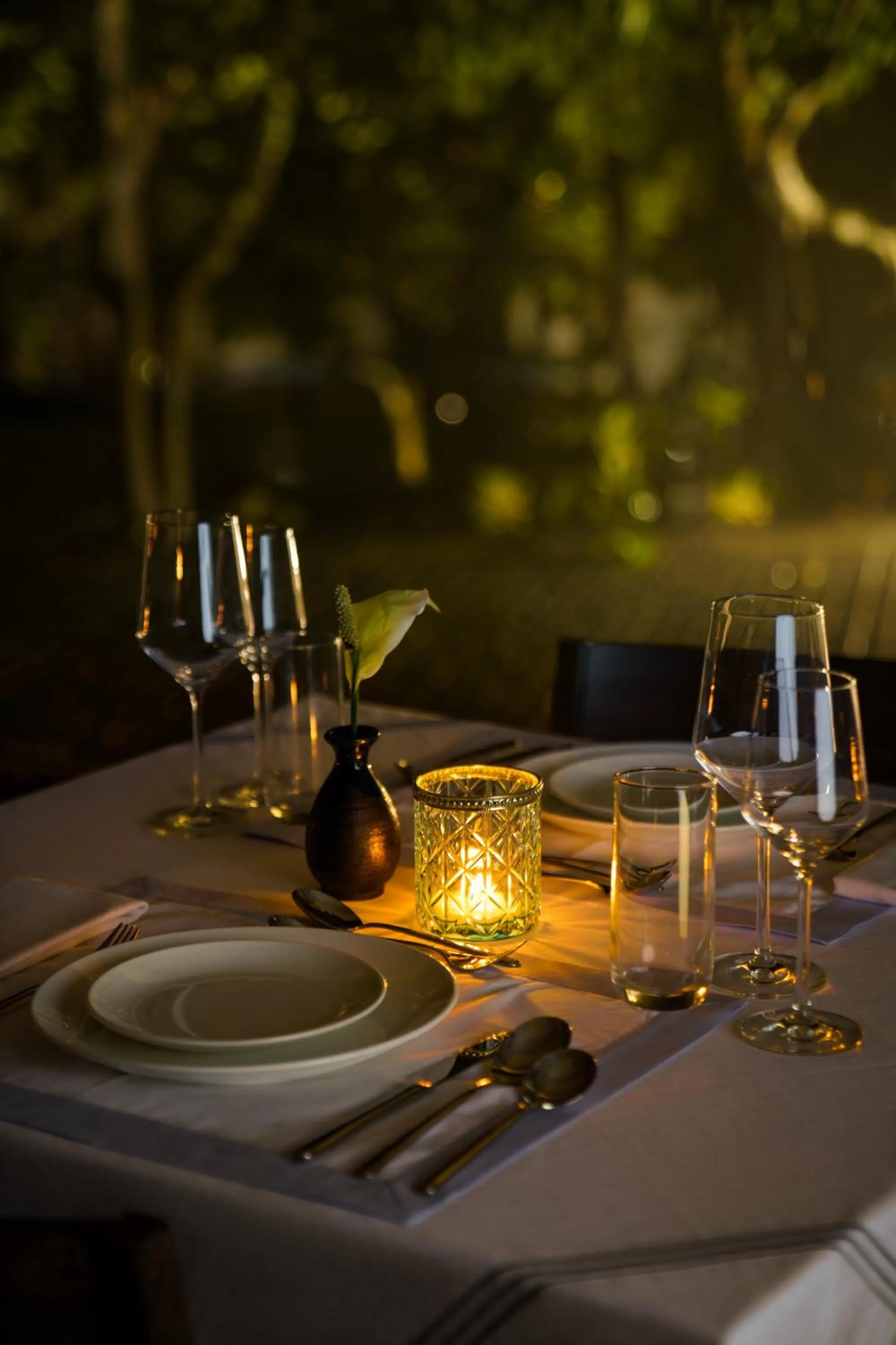 Winter in Anand Kashi by the Ganges Rishikesh - IHCL Seleqtions