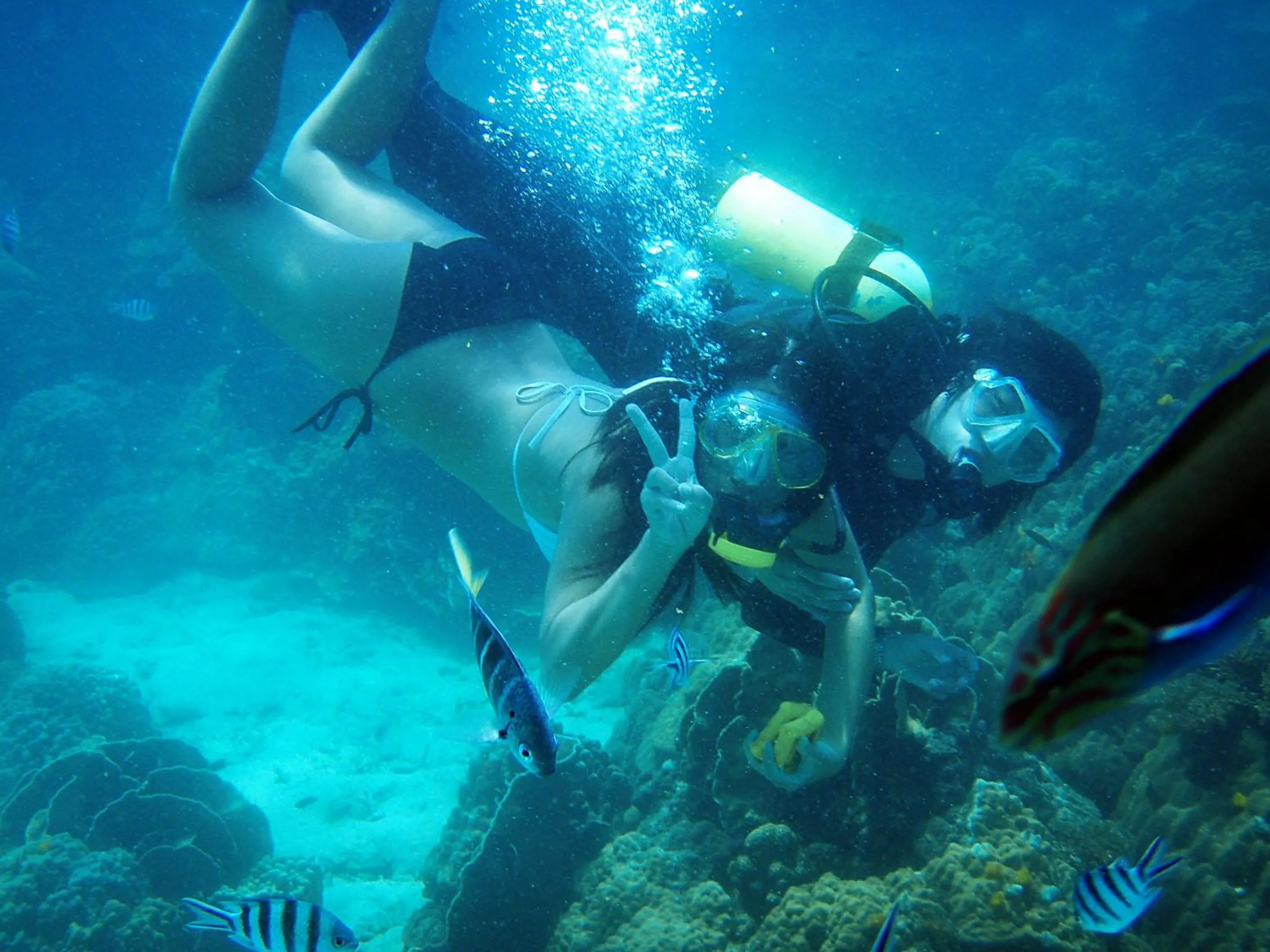 Diving in Koh Mak Cococape Resort