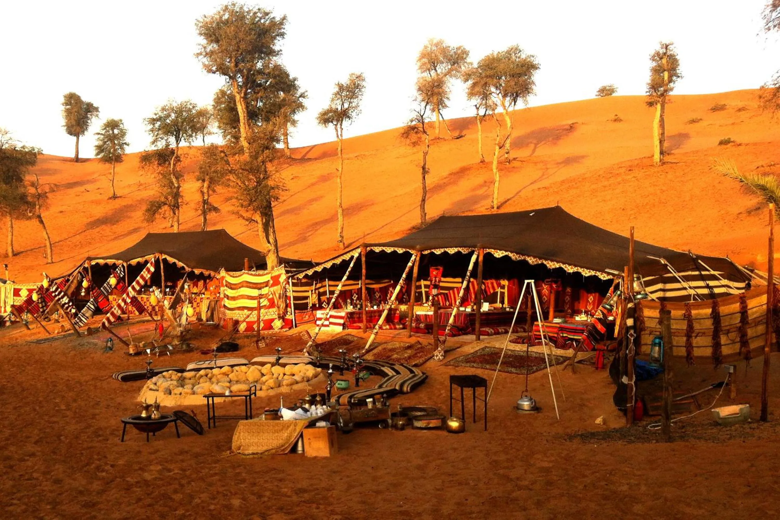 Area and facilities in Bedouin Oasis Desert Camp- Ras Al Khaimah