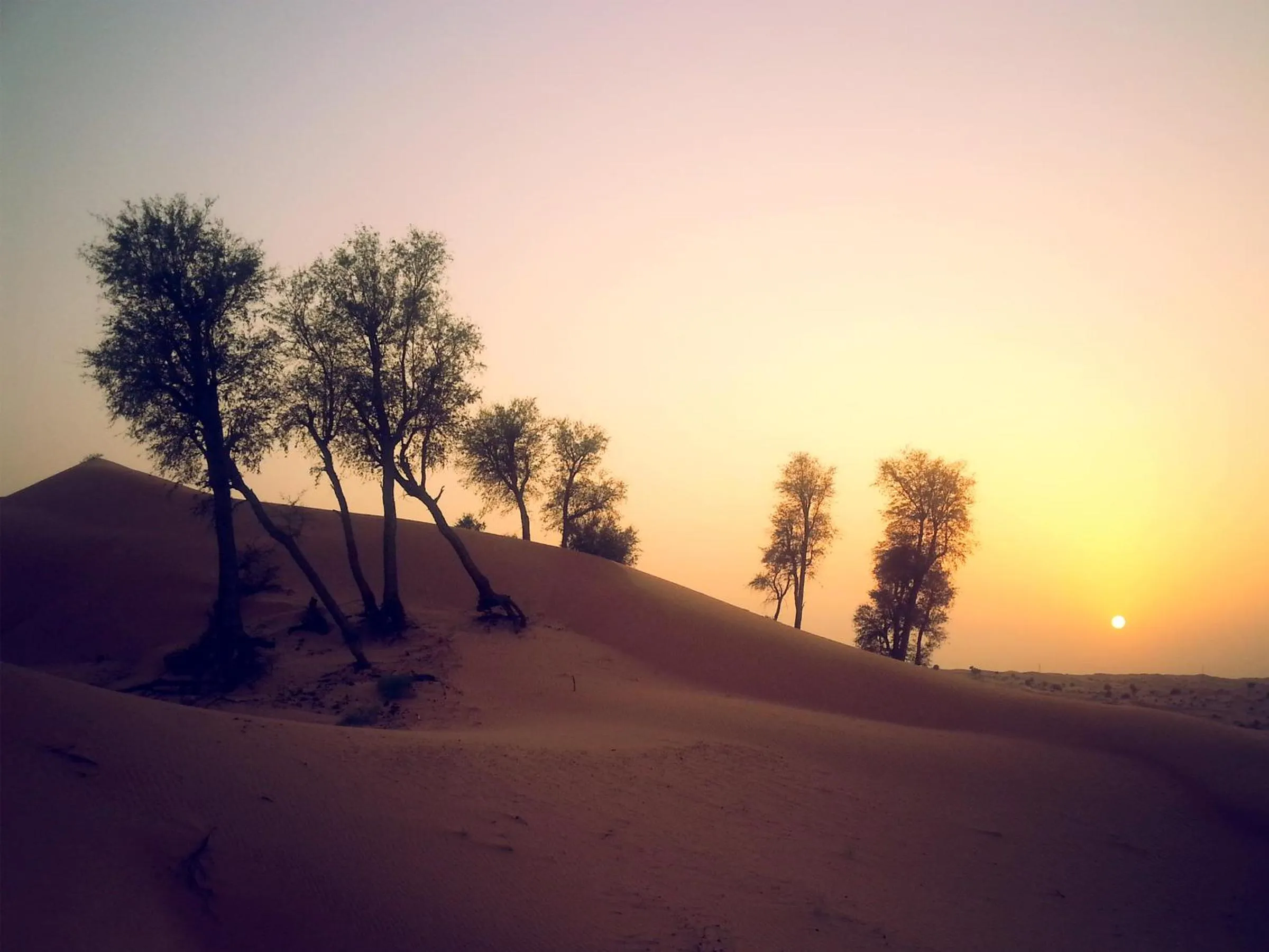 Area and facilities in Bedouin Oasis Desert Camp- Ras Al Khaimah