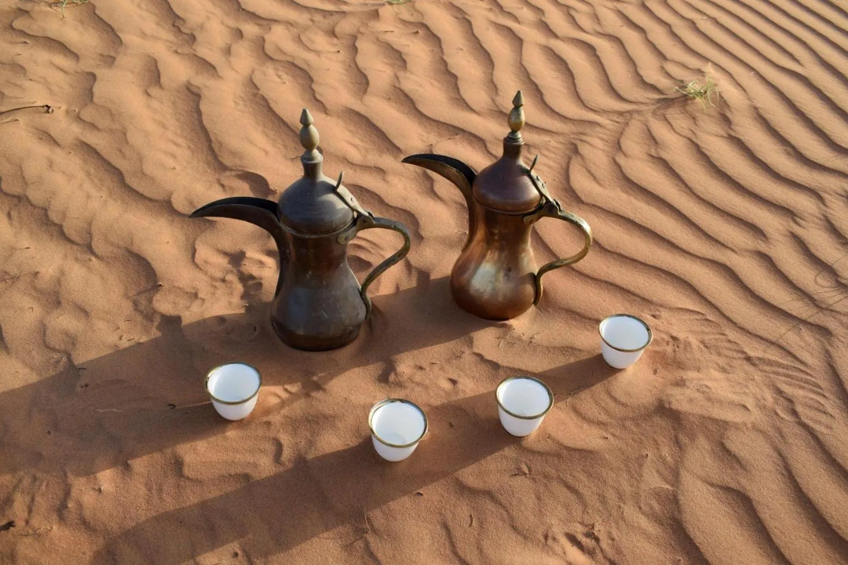 Bedouin Oasis Desert Camp- Ras Al Khaimah
