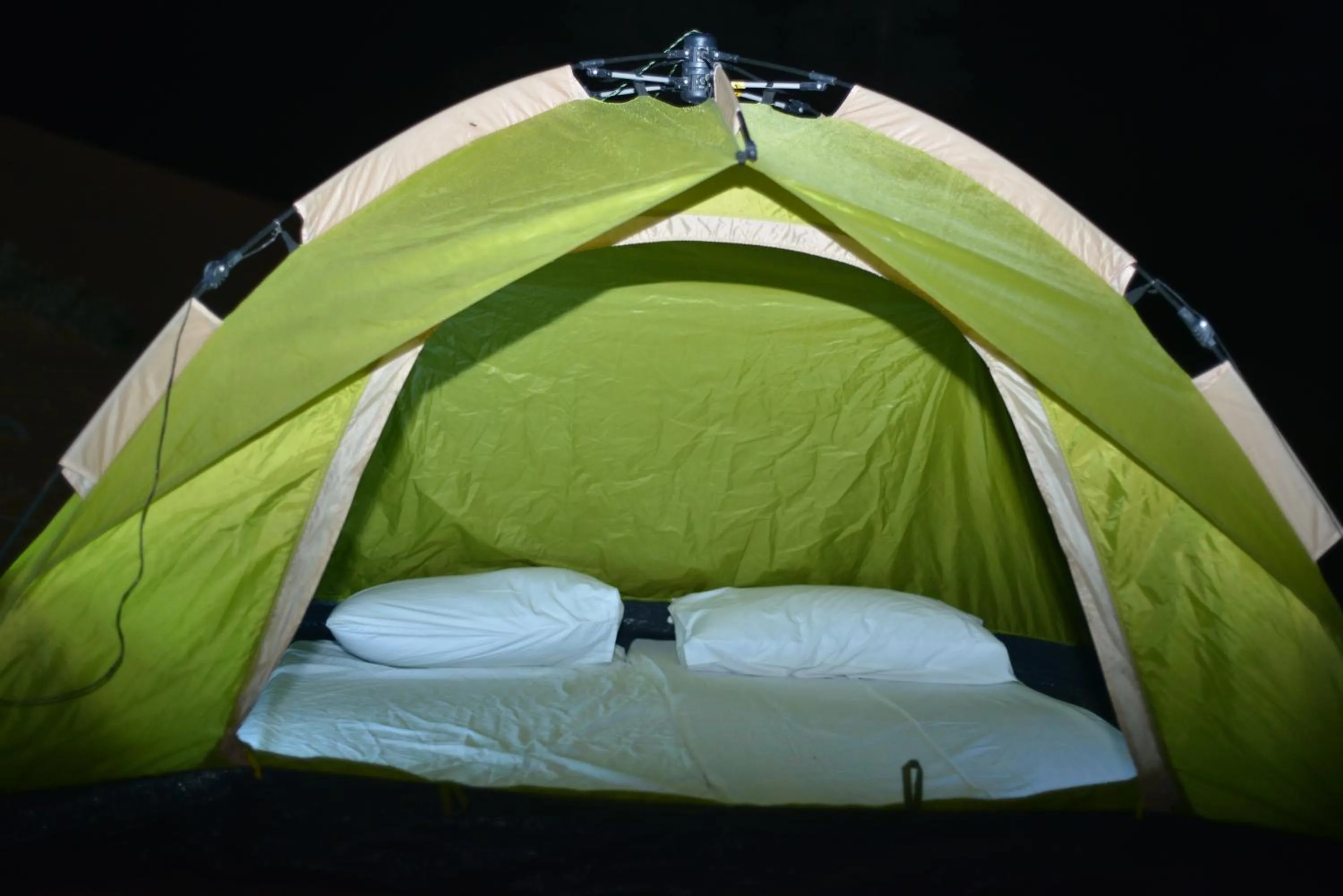 Bed in Bedouin Oasis Desert Camp- Ras Al Khaimah