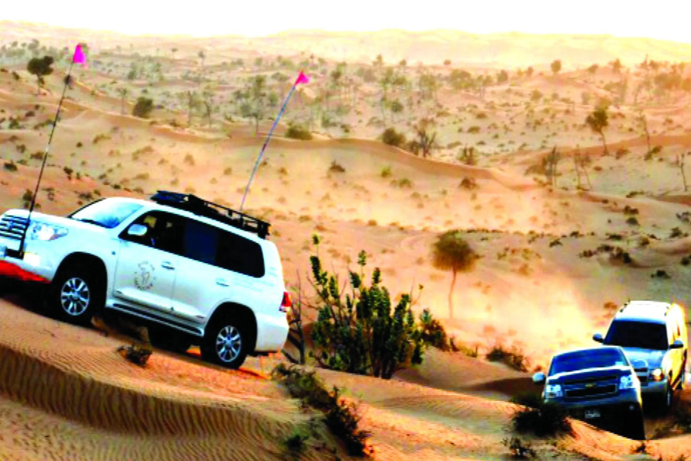 Facade/entrance in Bedouin Oasis Desert Camp- Ras Al Khaimah