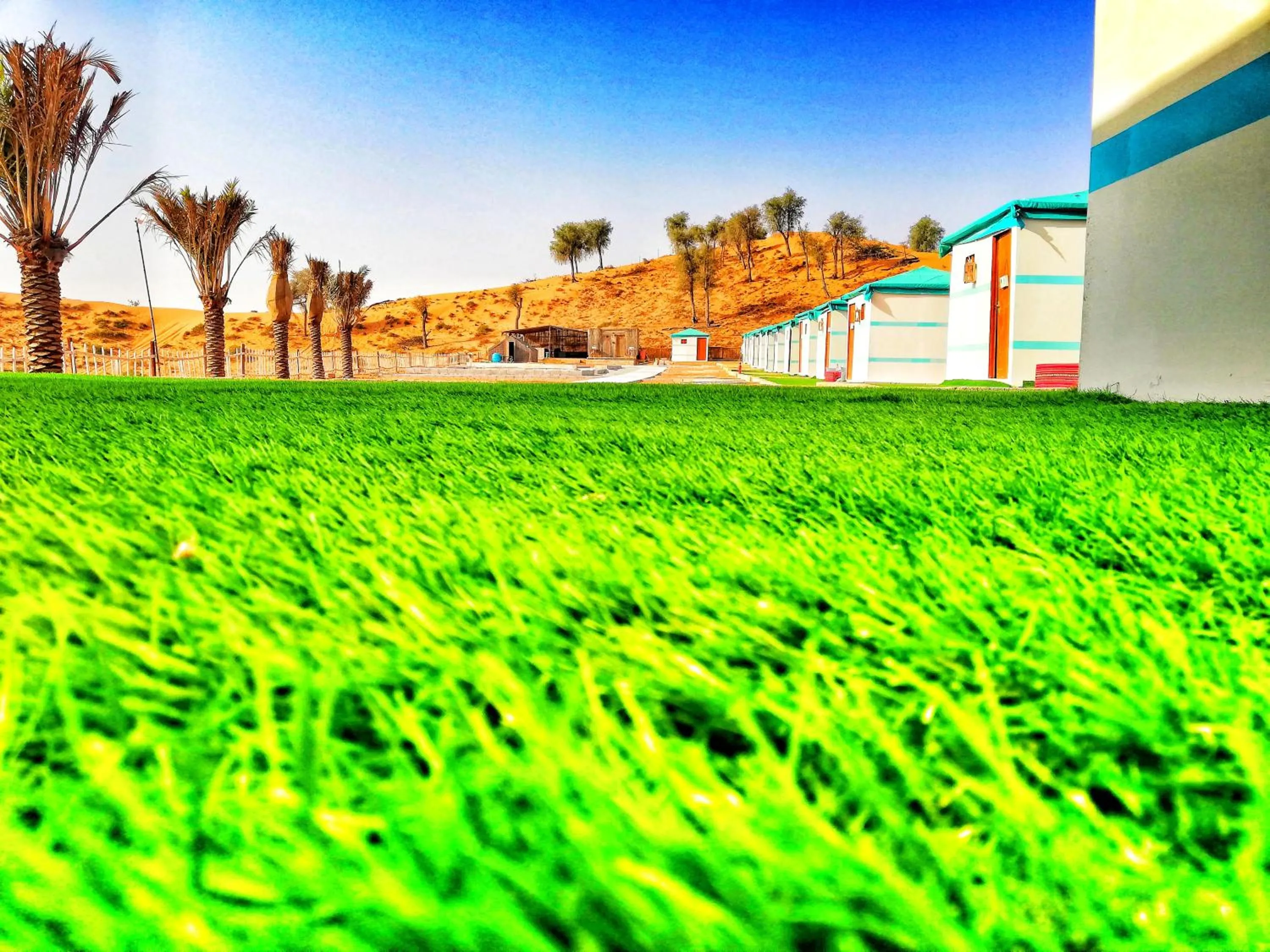 Bedouin Oasis Desert Camp- Ras Al Khaimah