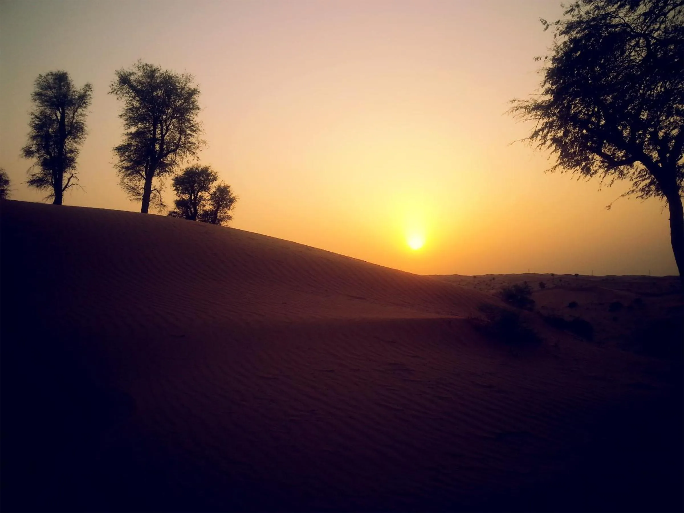 Area and facilities in Bedouin Oasis Desert Camp- Ras Al Khaimah