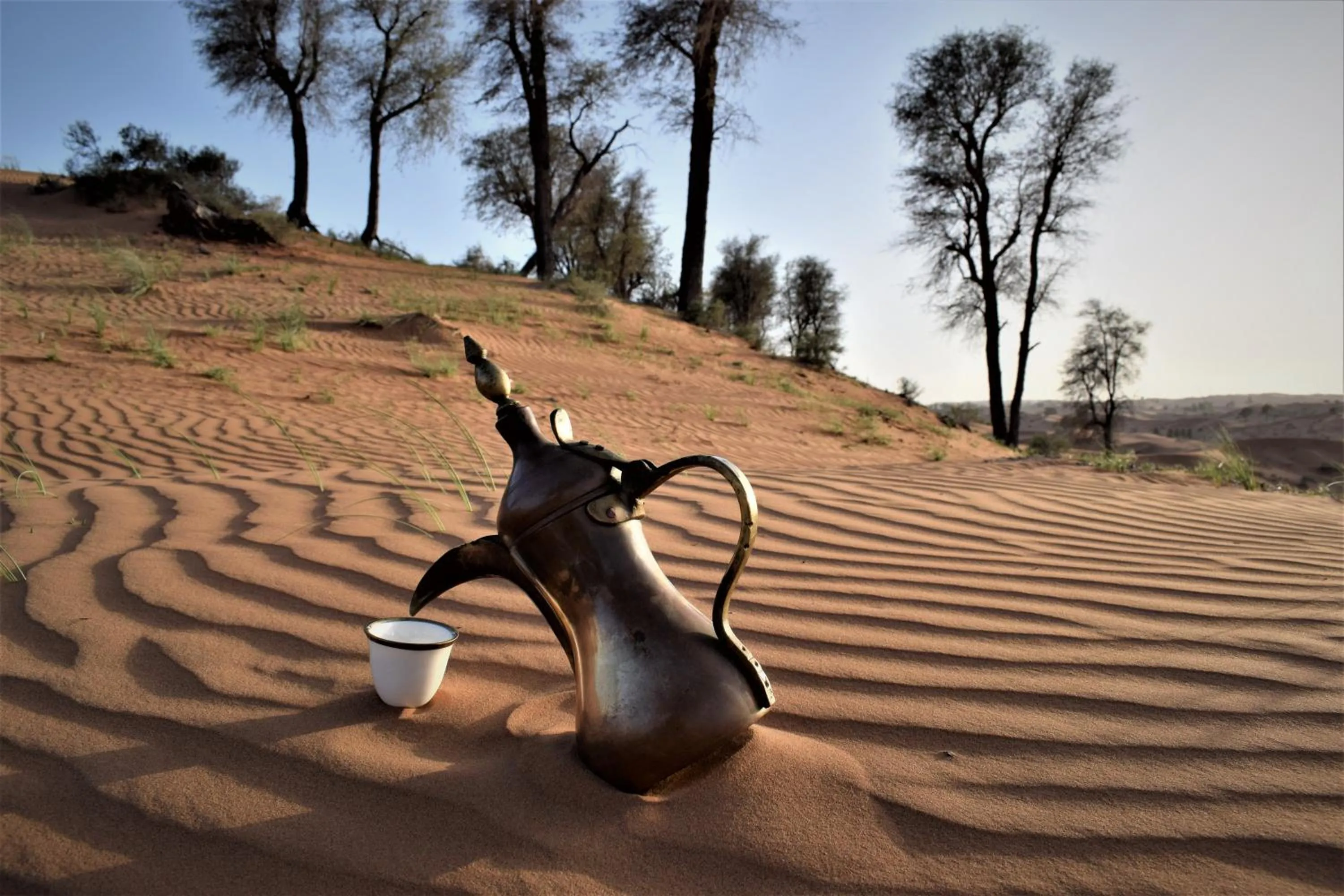 Bedouin Oasis Desert Camp- Ras Al Khaimah