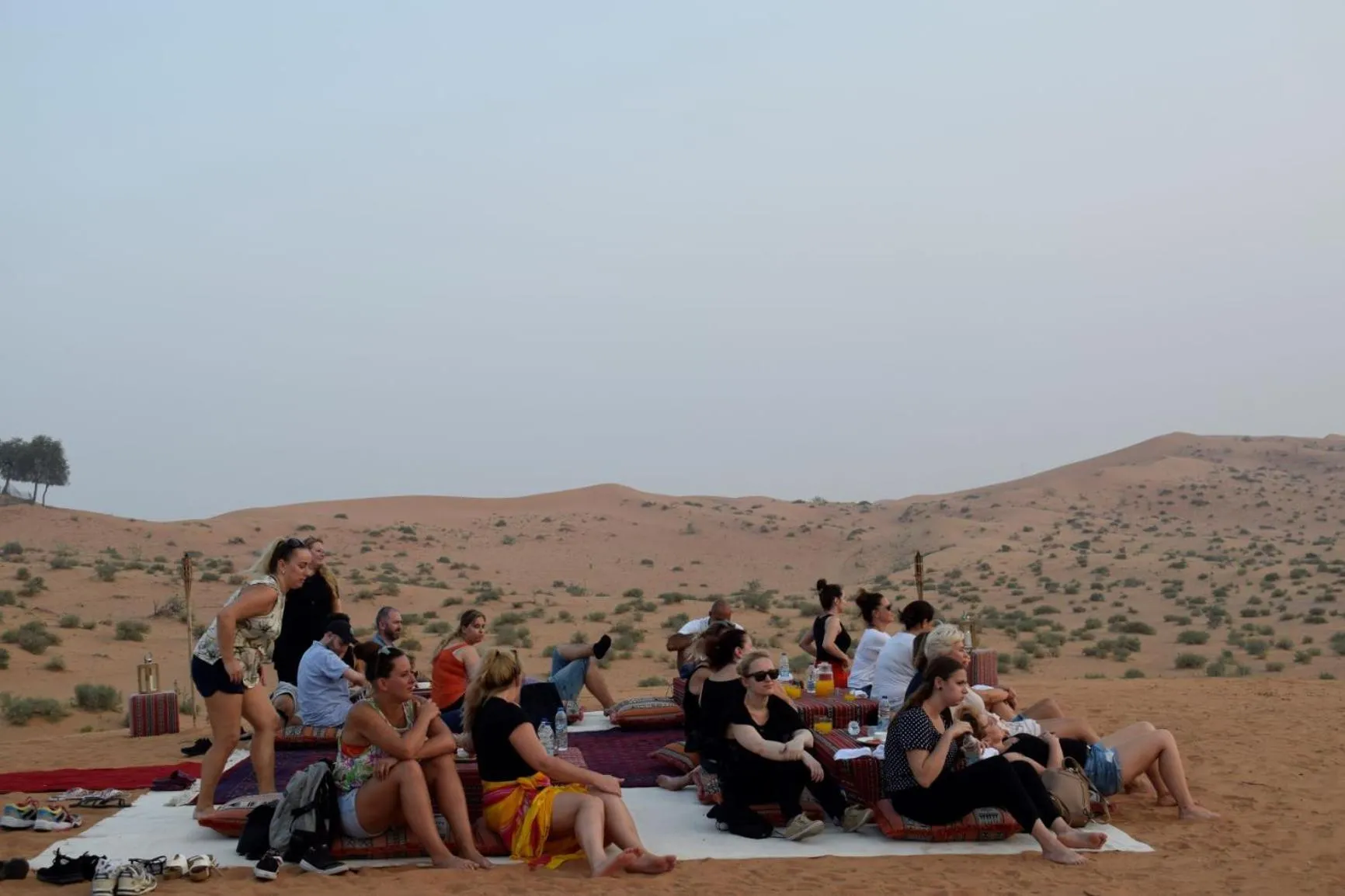 Bedouin Oasis Desert Camp- Ras Al Khaimah