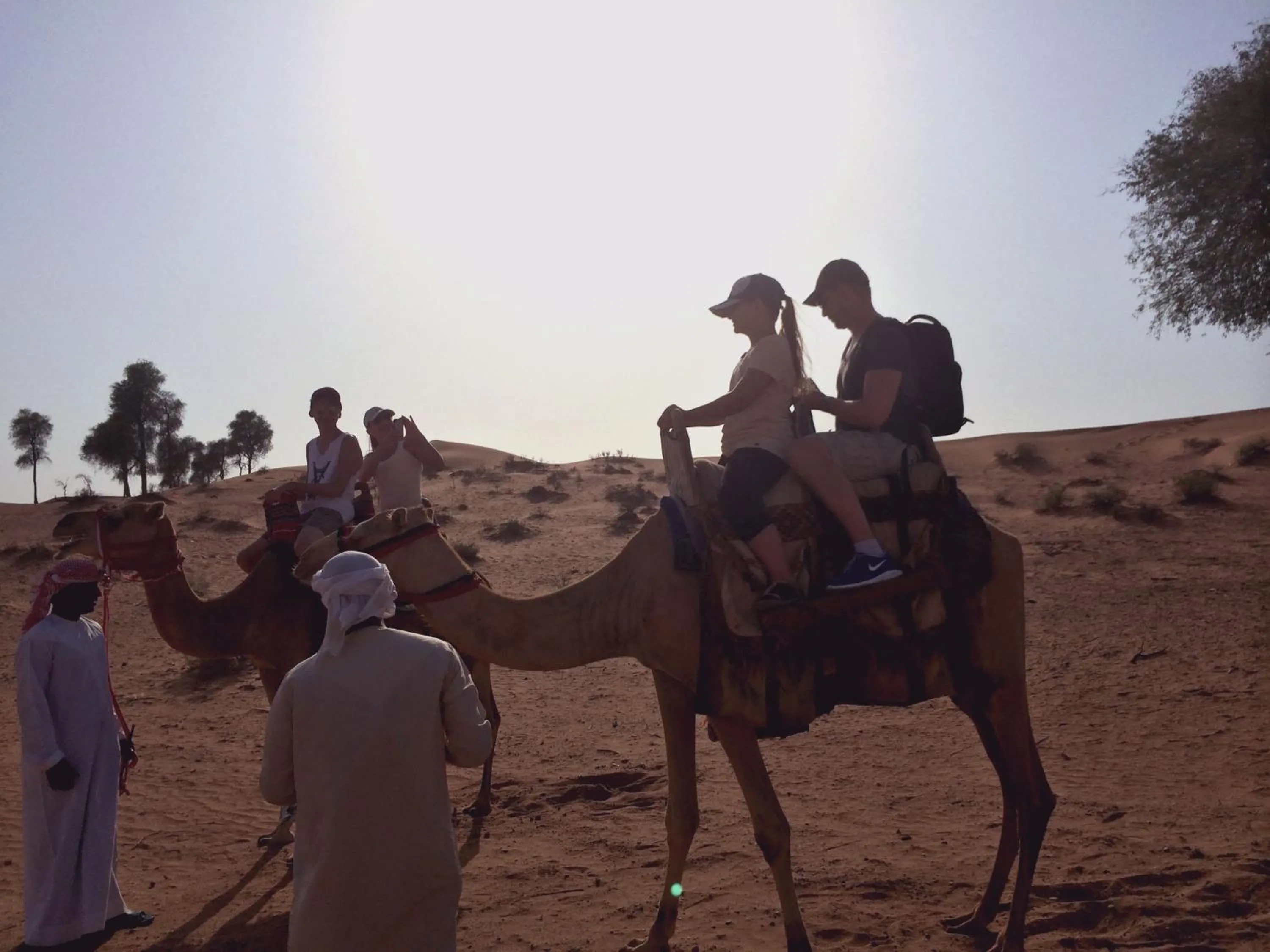 Evening entertainment in Bedouin Oasis Desert Camp- Ras Al Khaimah