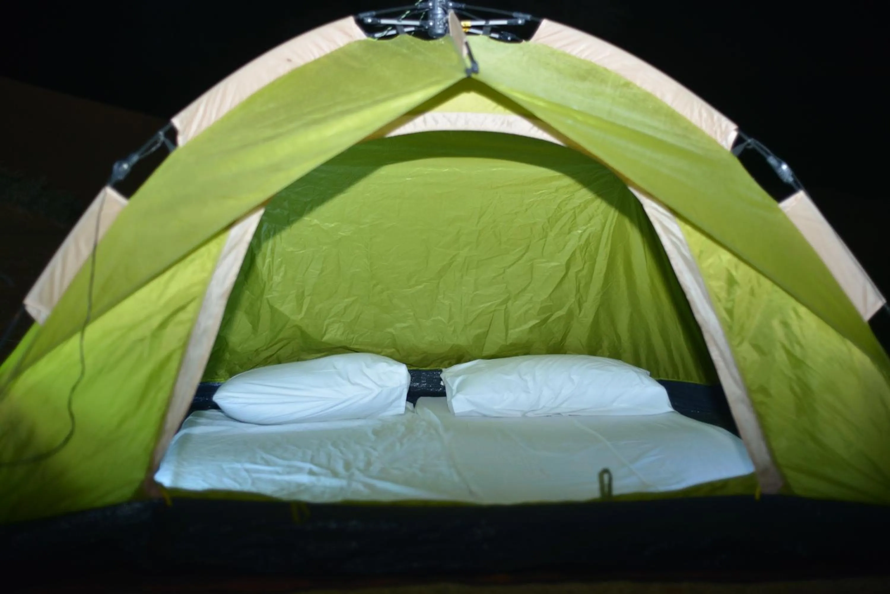 Bed in Bedouin Oasis Desert Camp- Ras Al Khaimah