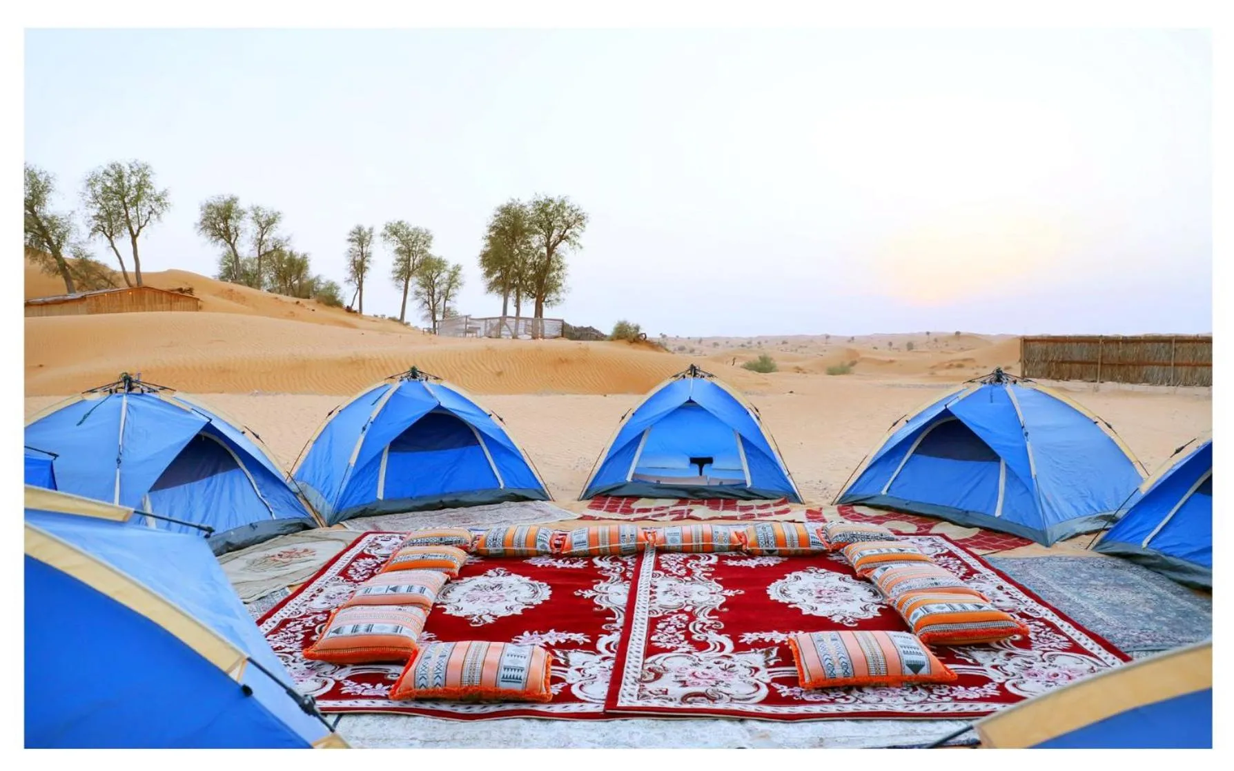 Bedouin Oasis Desert Camp- Ras Al Khaimah