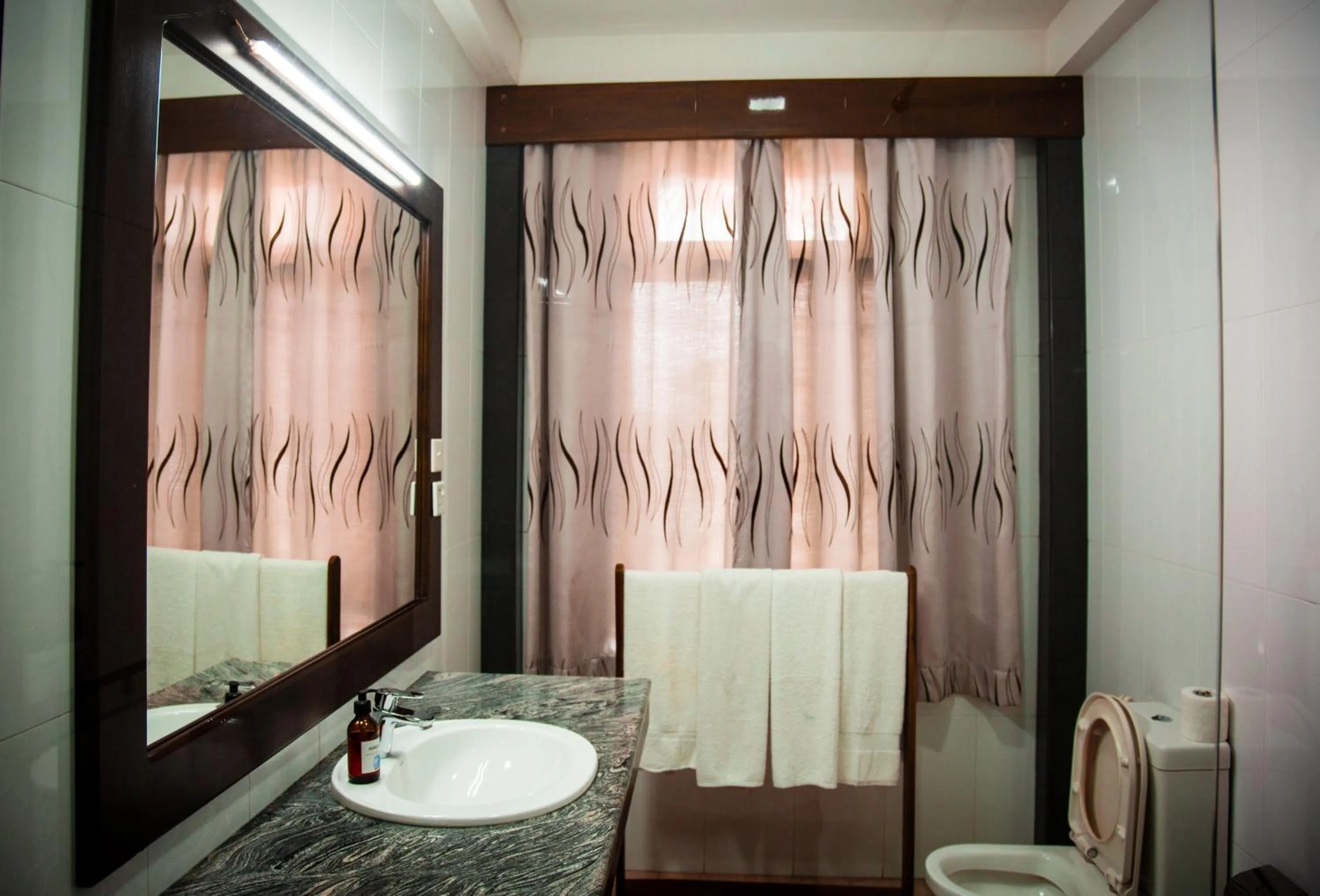 Toilet in Riverside Inn Fuji