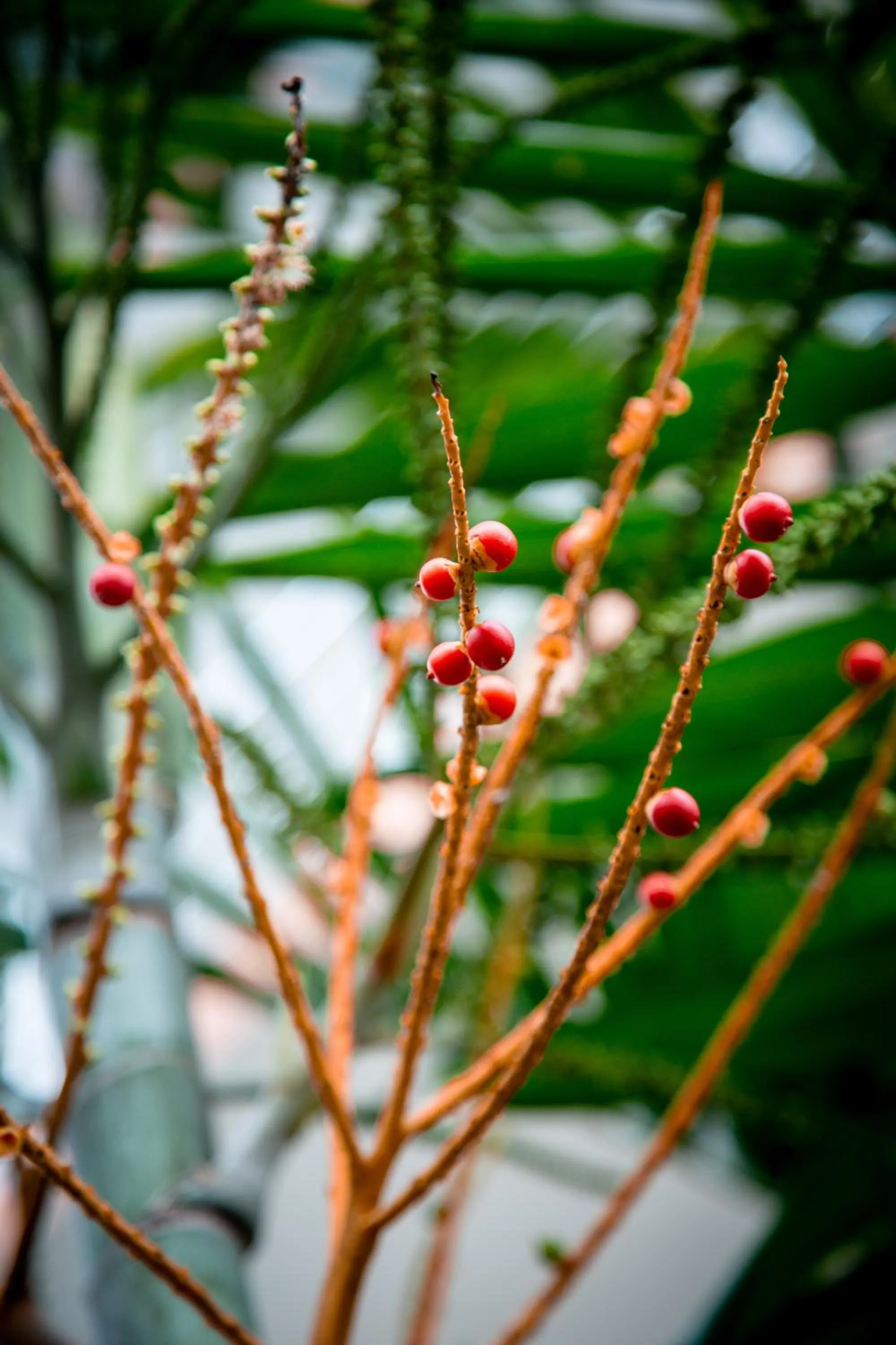 Day in Riverside Inn Fuji