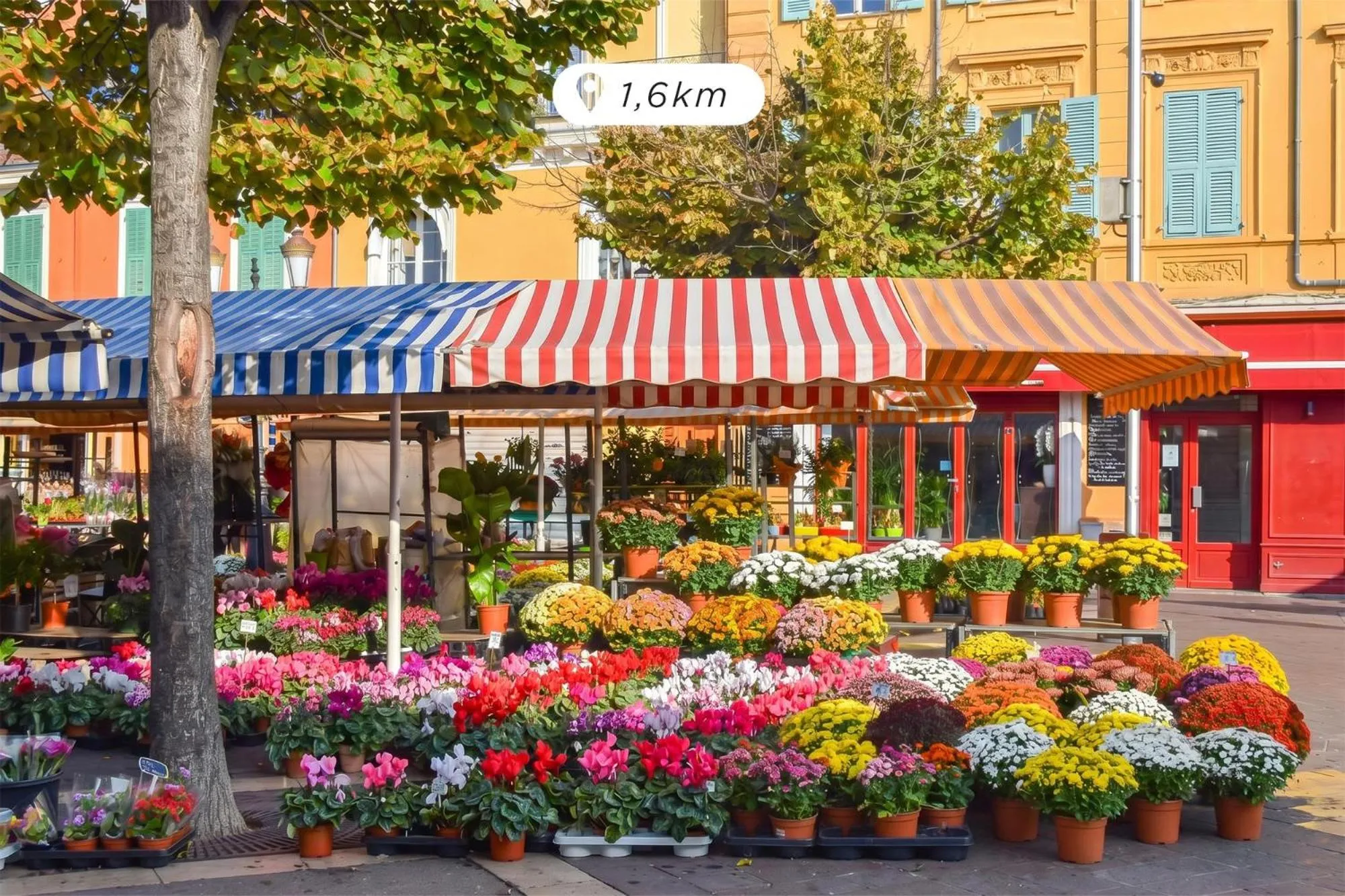 Location in Crisol Mozart