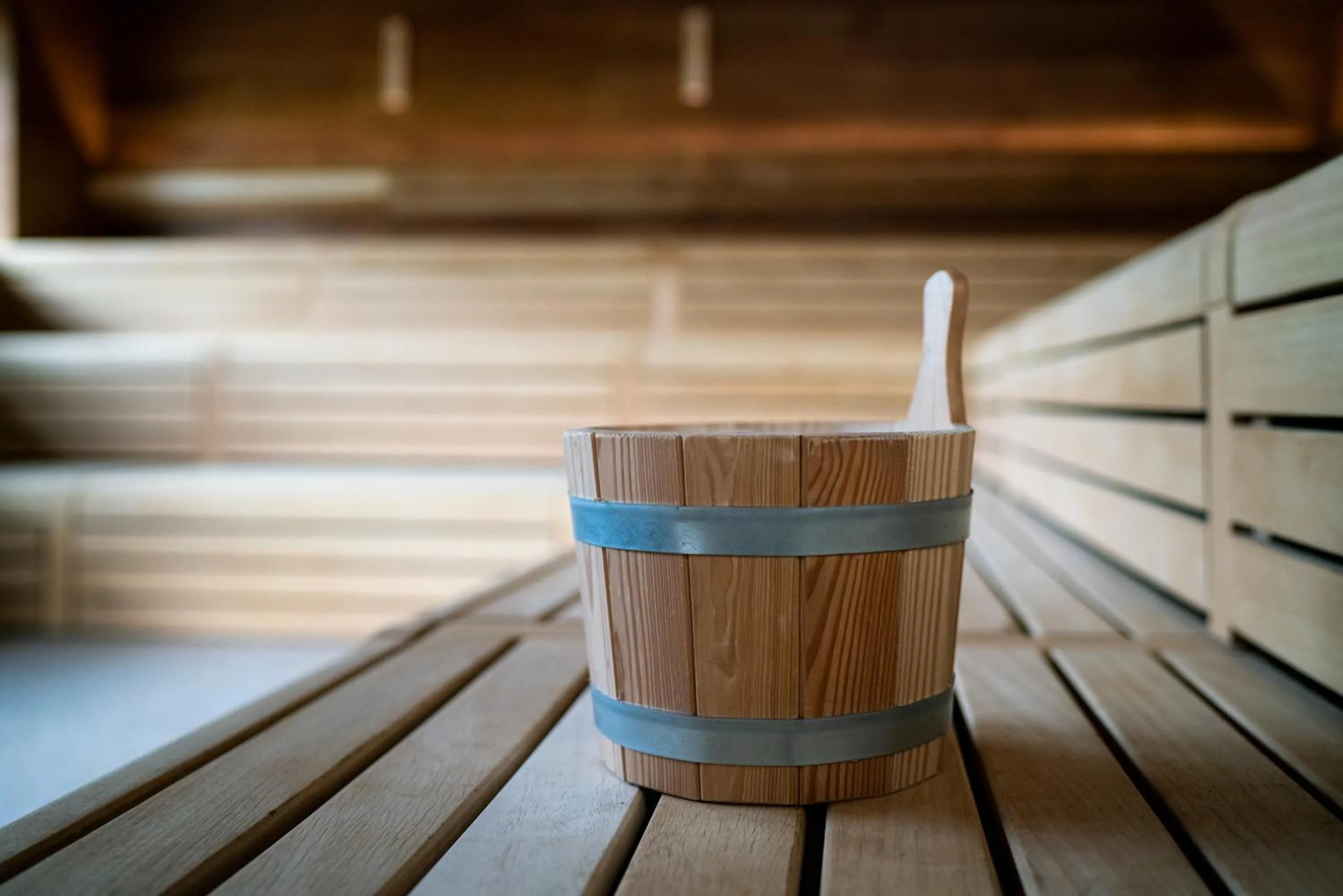 Sauna in Fletcher Wellness-Hotel Brabant-Mill