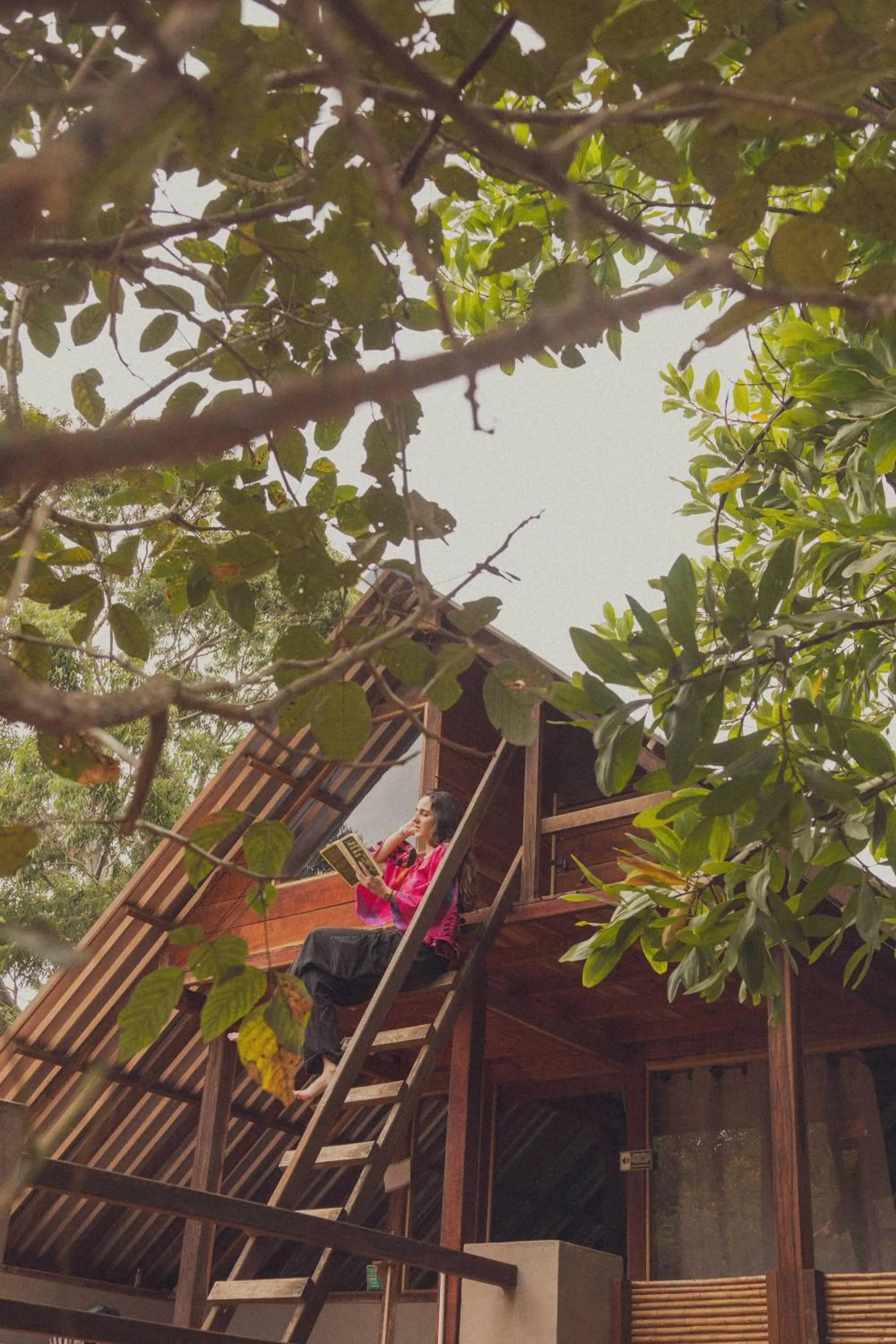 Property building in REFUGIO LA ROCA