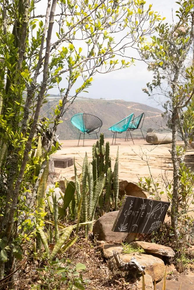 Spring in REFUGIO LA ROCA