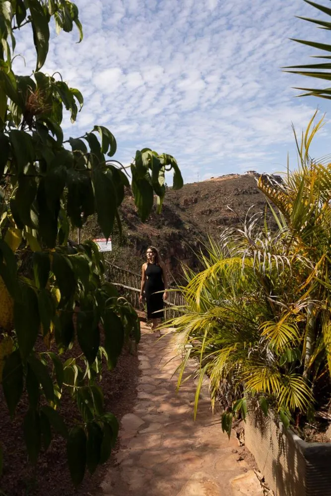 Spring in REFUGIO LA ROCA