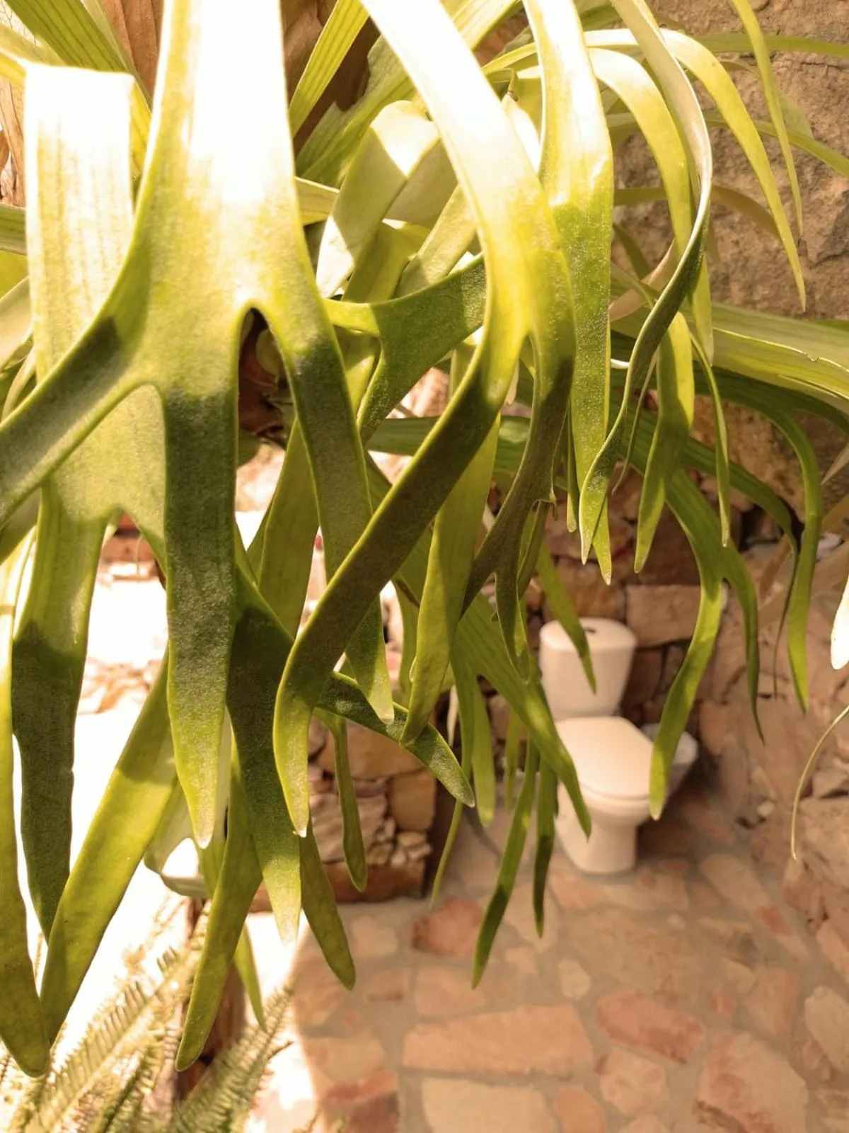 Toilet in REFUGIO LA ROCA
