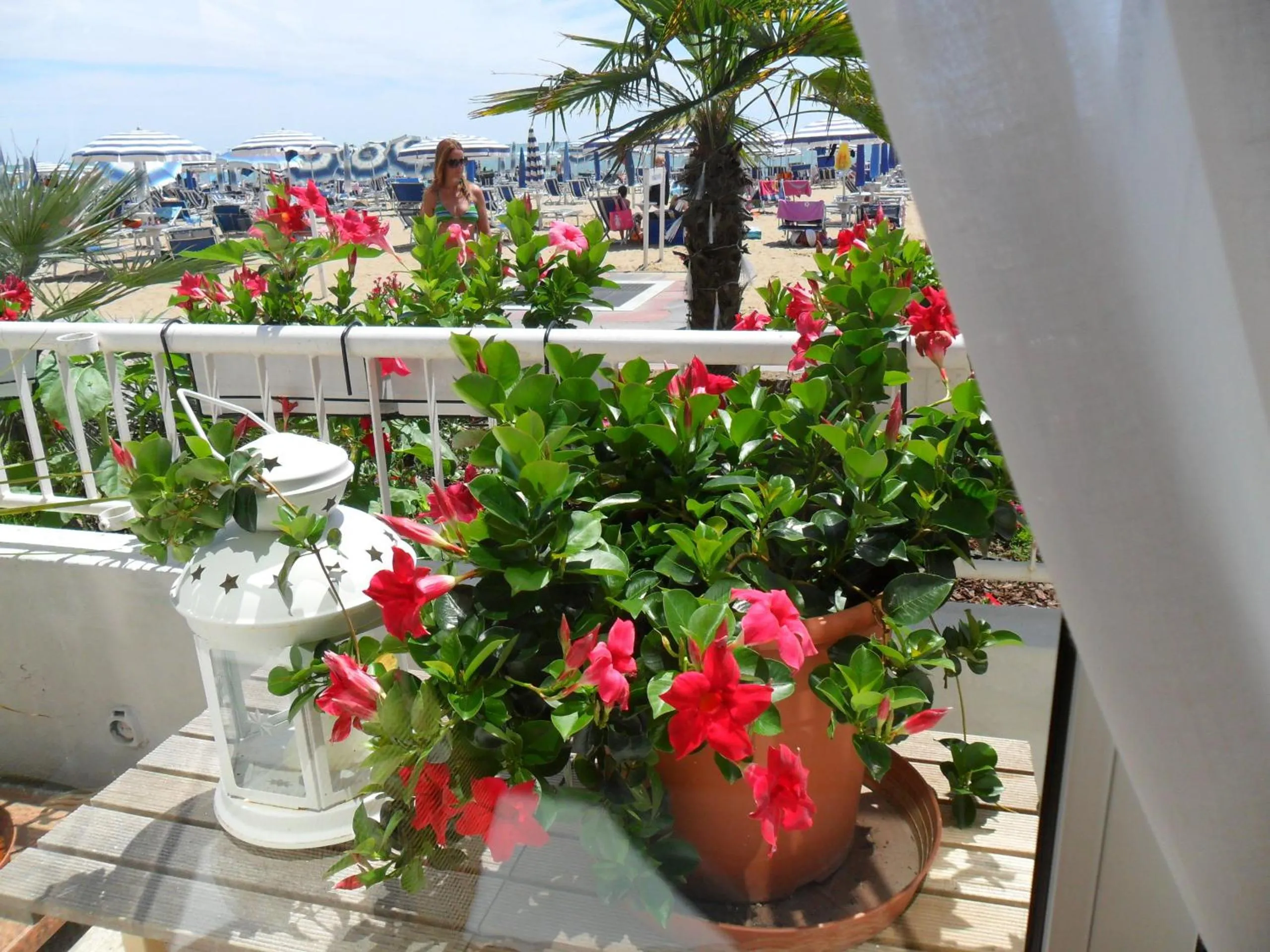 Garden in Hotel Telenia