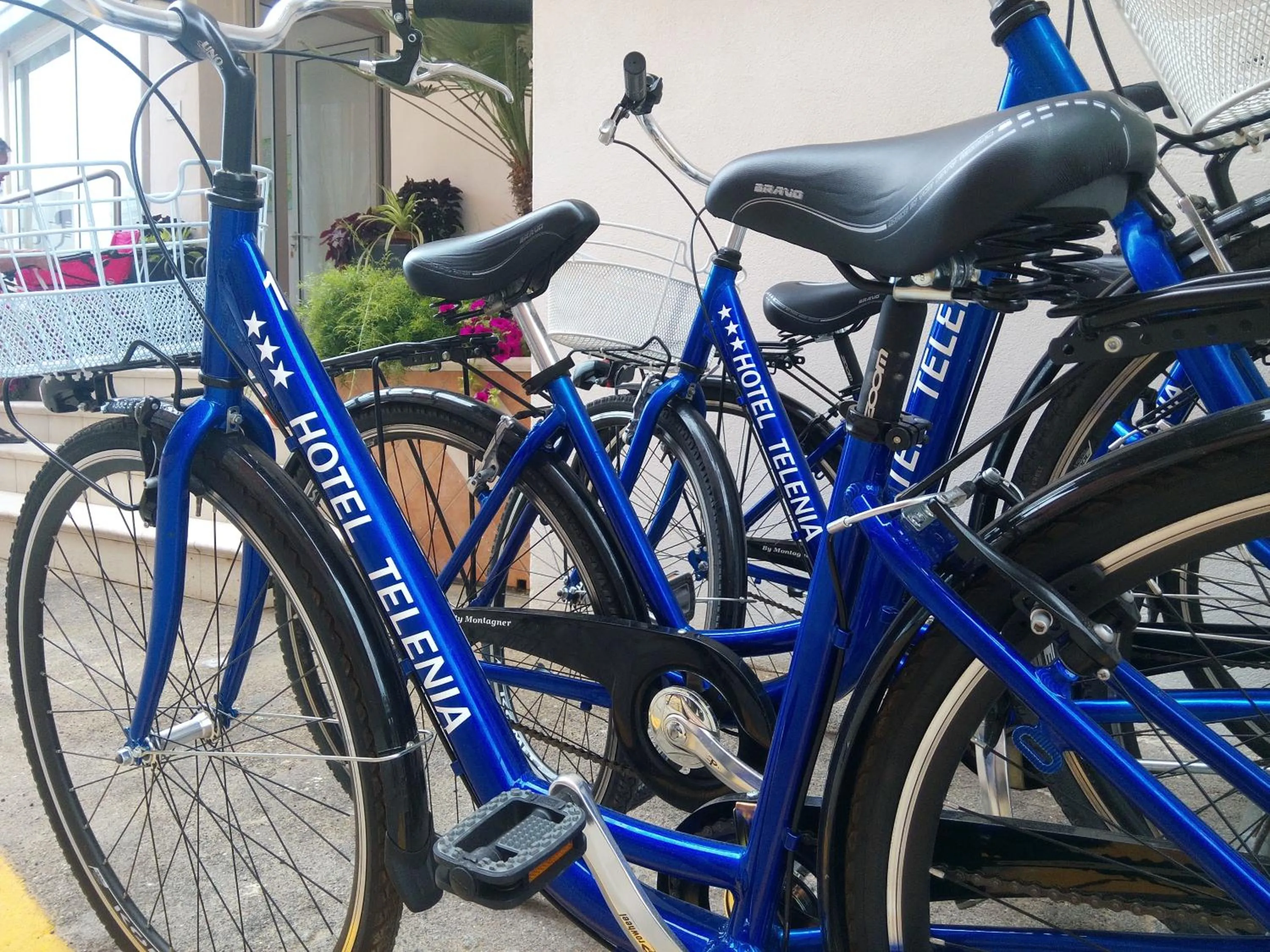 Cycling in Hotel Telenia
