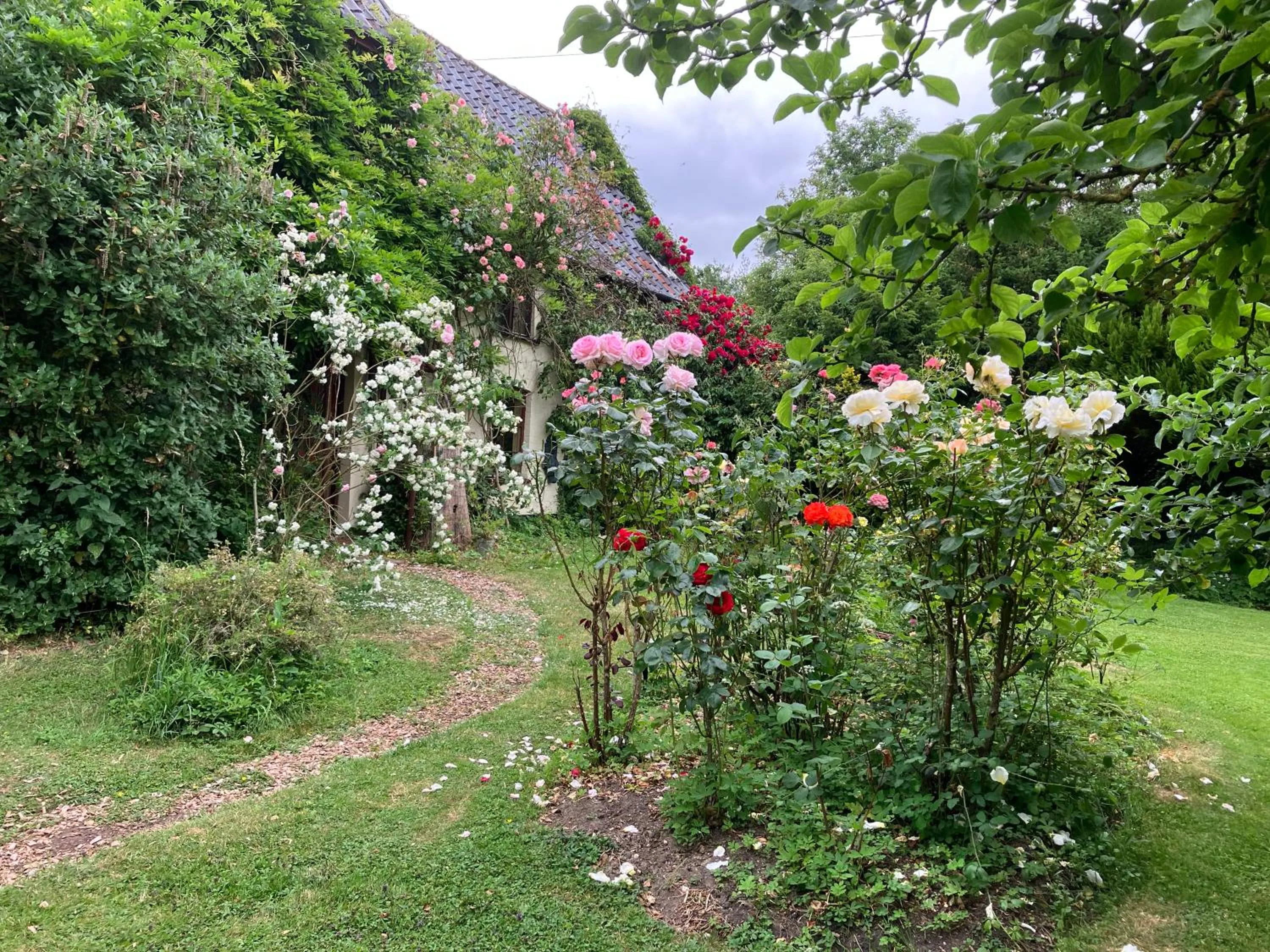 Garden in Valley Farmhouse, Westhall