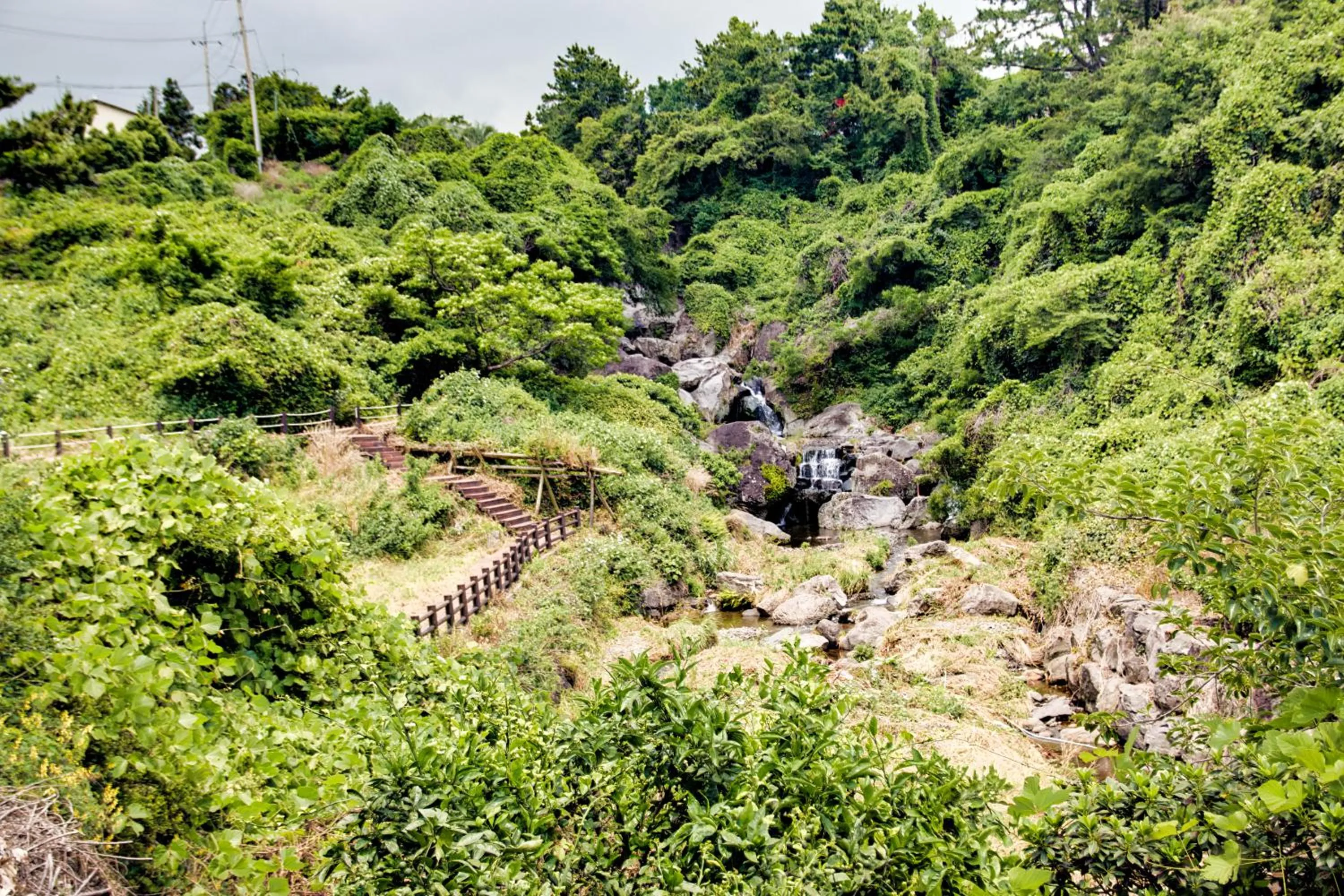 Garden in Seogwipo Beautiful Resort