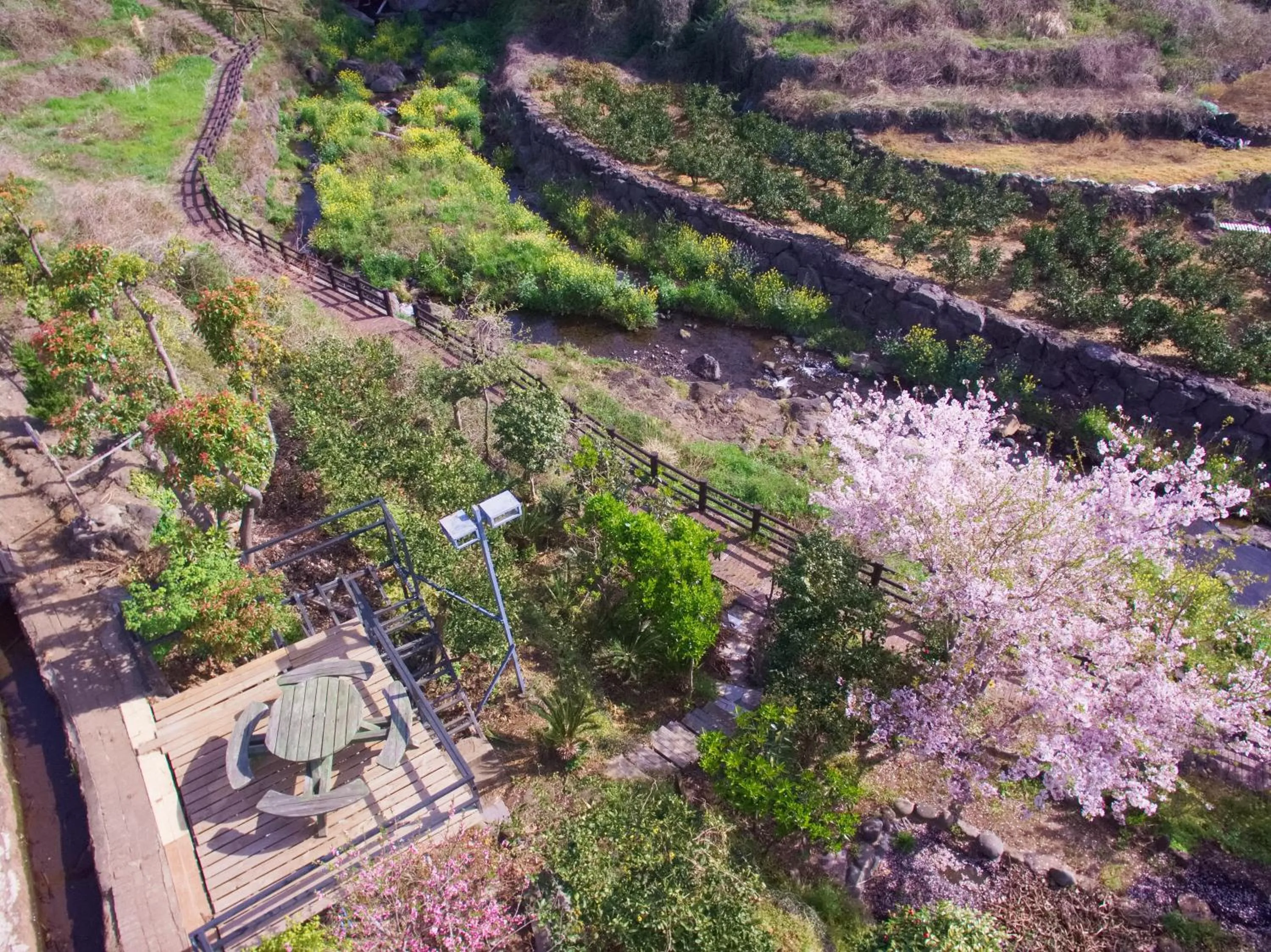 Garden in Seogwipo Beautiful Resort