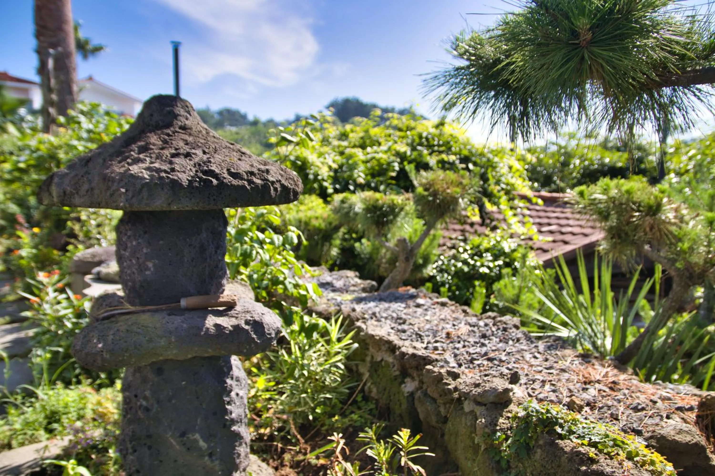 Garden in Seogwipo Beautiful Resort