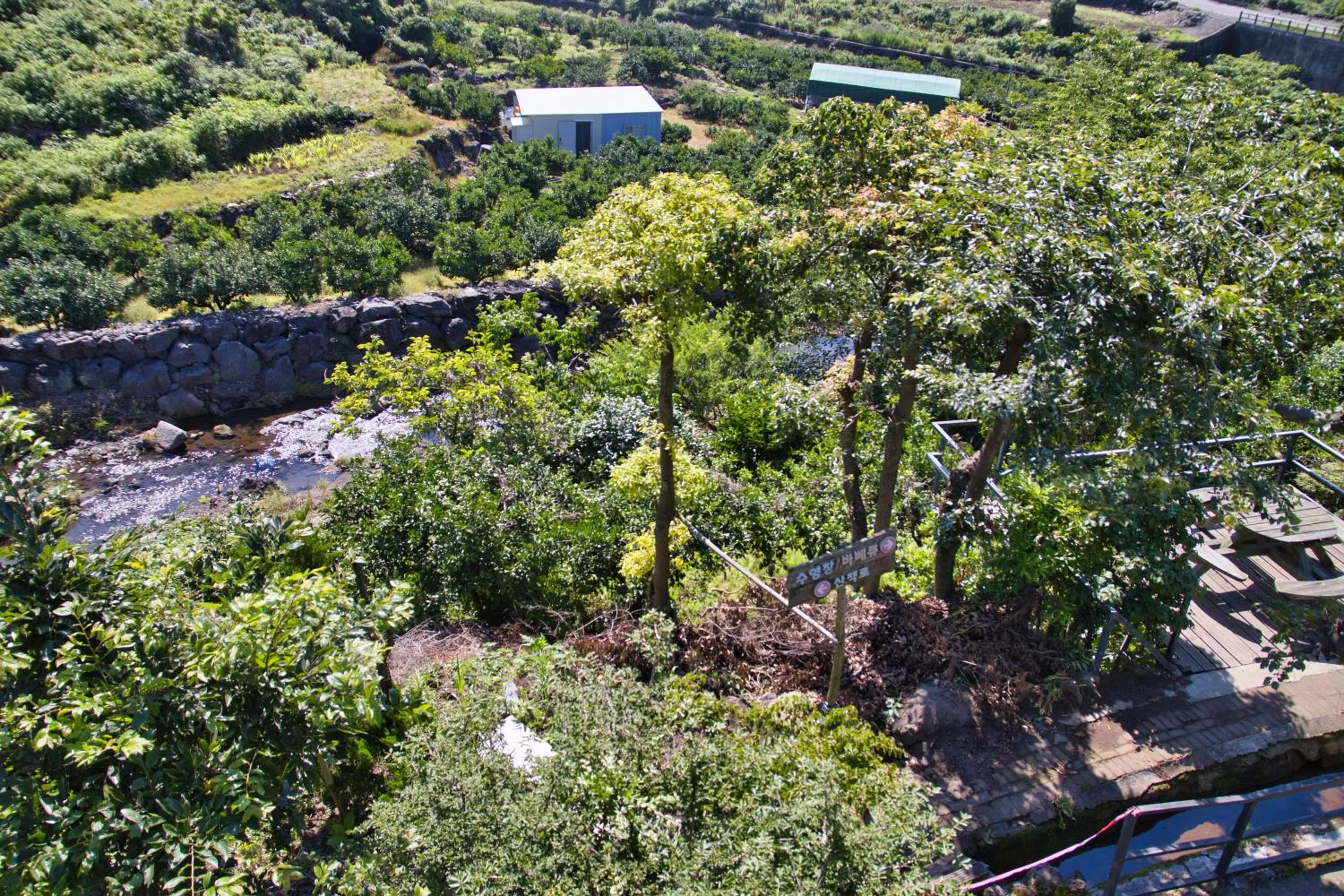 Garden in Seogwipo Beautiful Resort