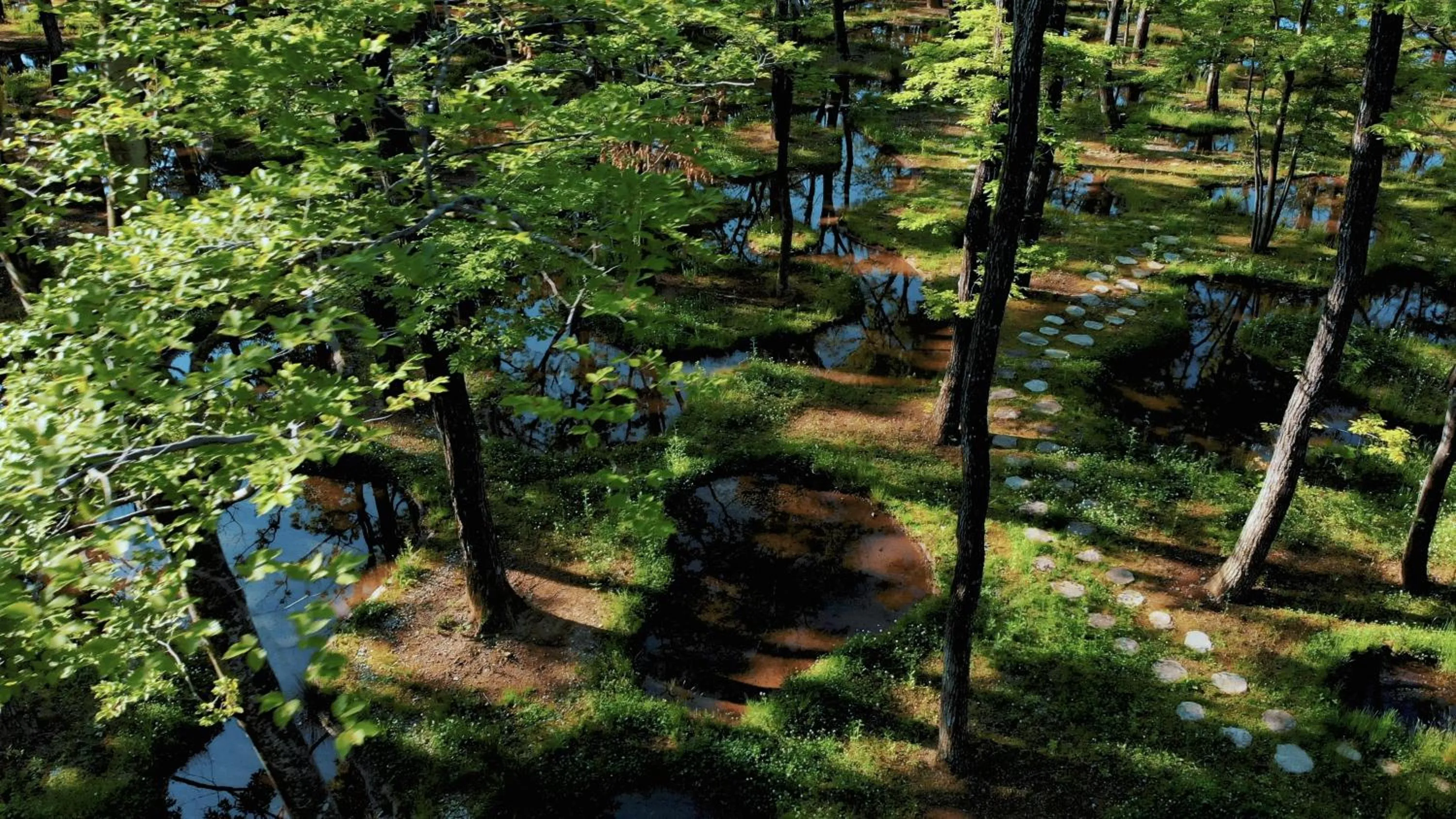 Other in nasu mukunone AUBERGE